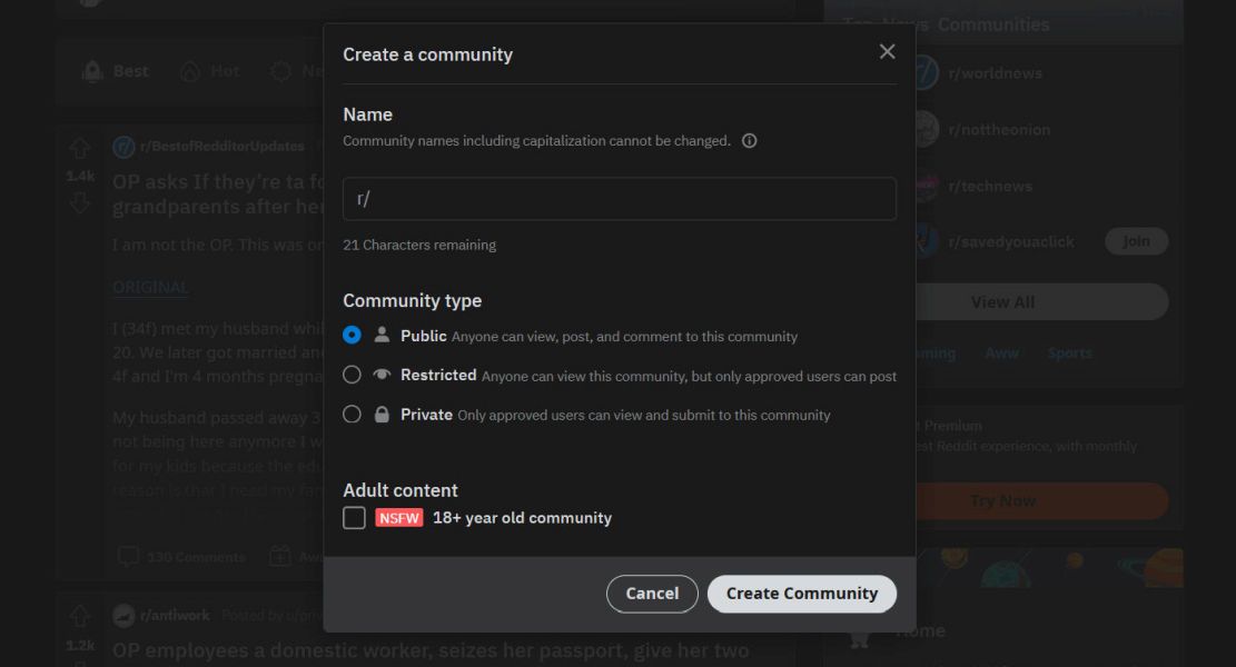 Captura de tela da página Criar comunidade no Reddit