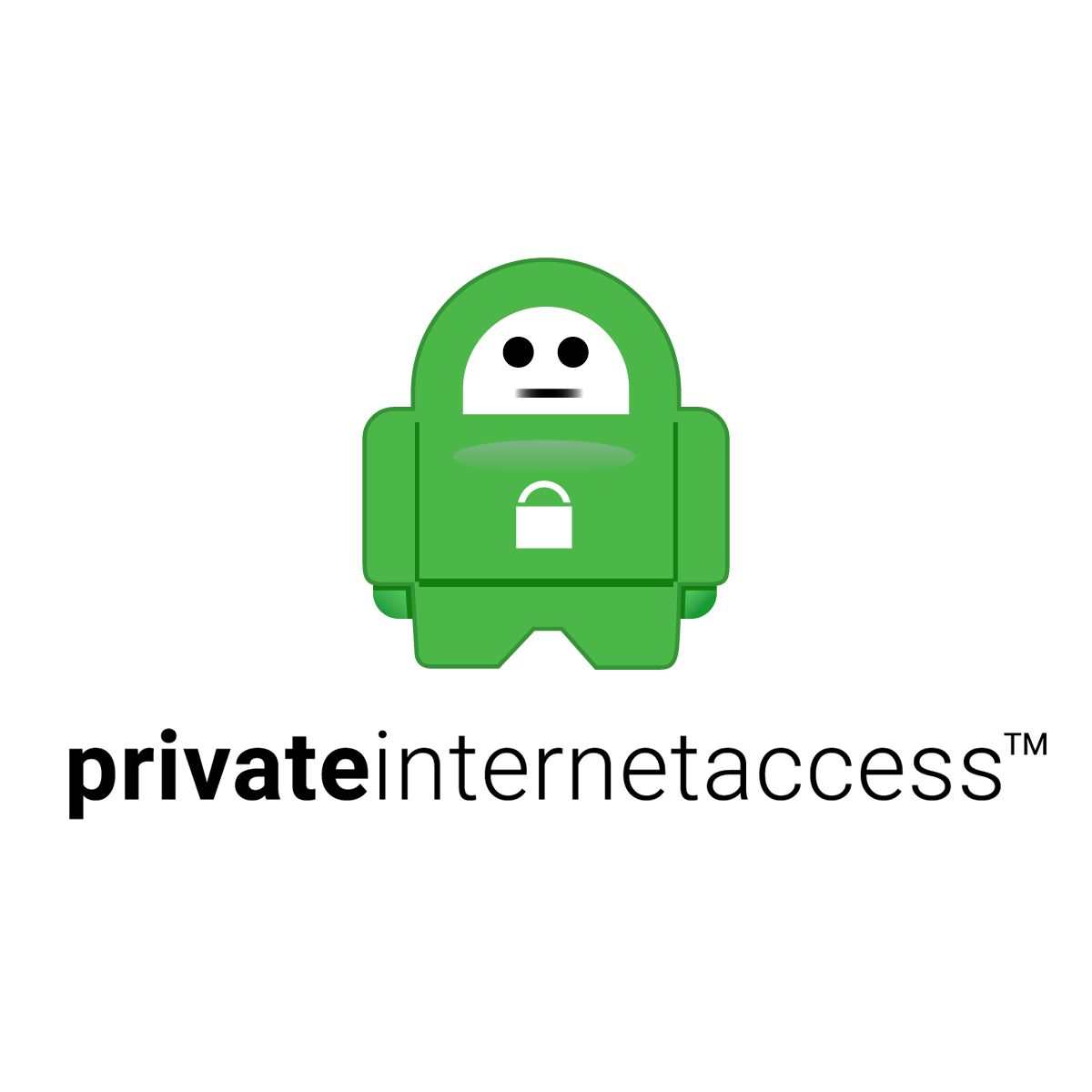 Logotipo VPN de acesso privado à Internet em fundo branco
