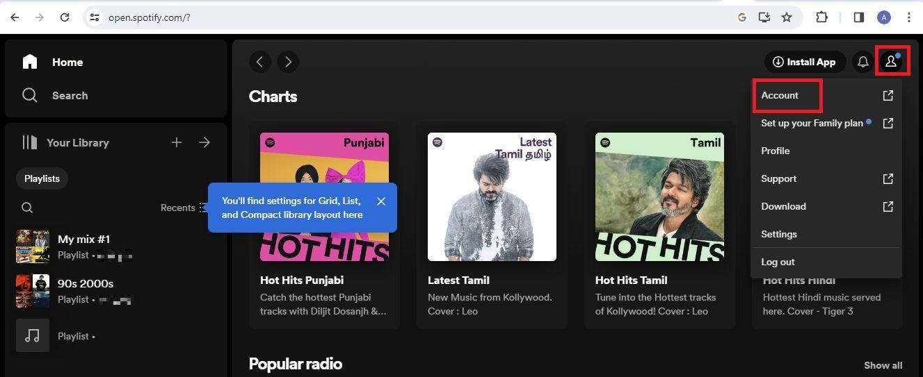 Captura de tela destacando a opção Conta no Spotify
