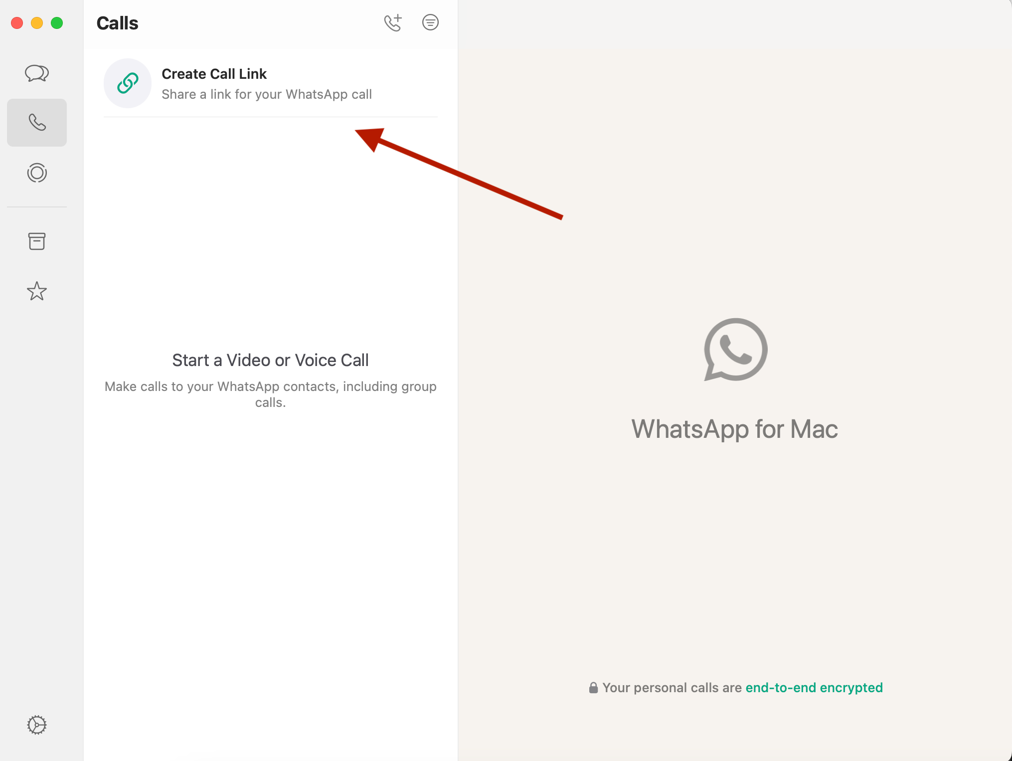 Uma captura de tela da tela de chamadas do WhatsApp com uma seta vermelha apontando para a opção de link de chamada.