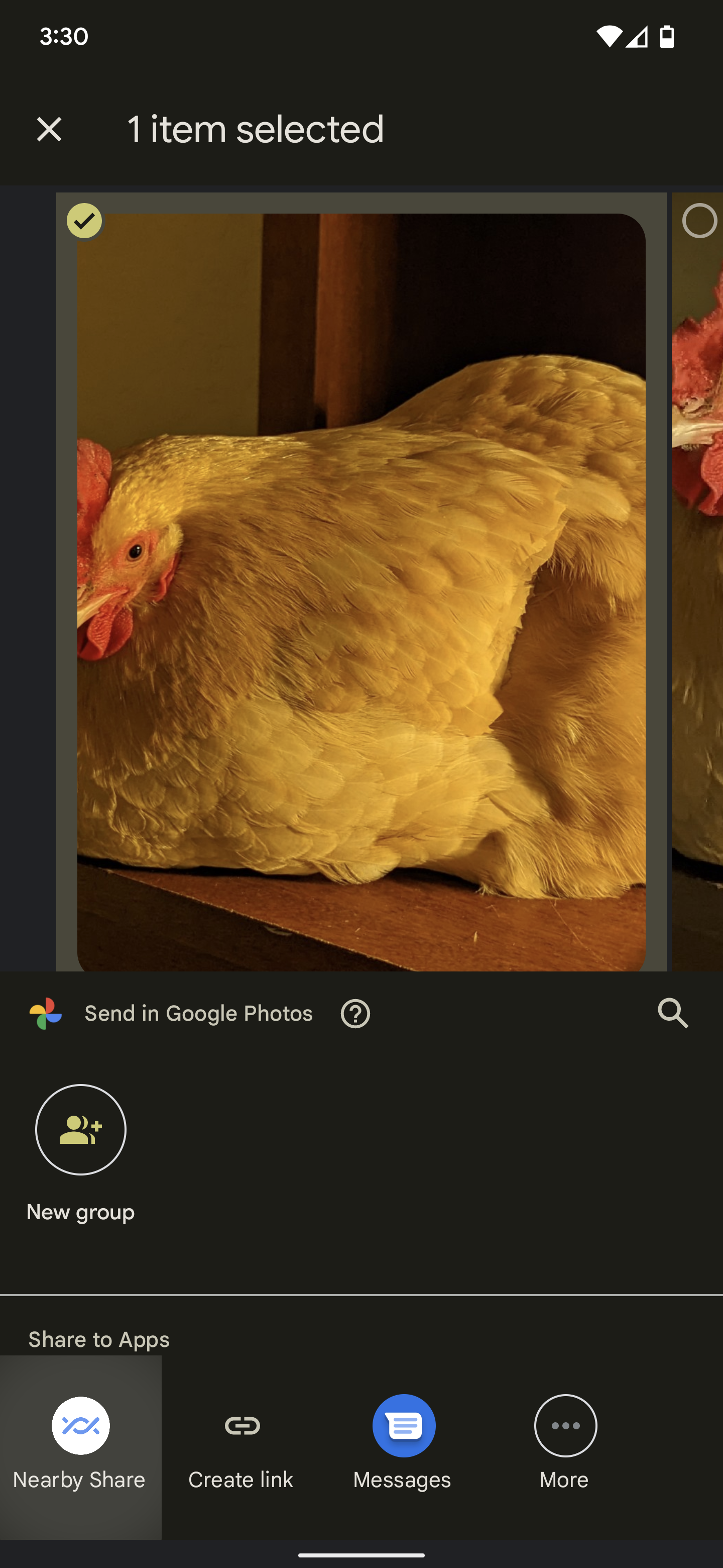 O menu de compartilhamento no Google Fotos em um telefone Android com a imagem de uma galinha em uma mesa visível