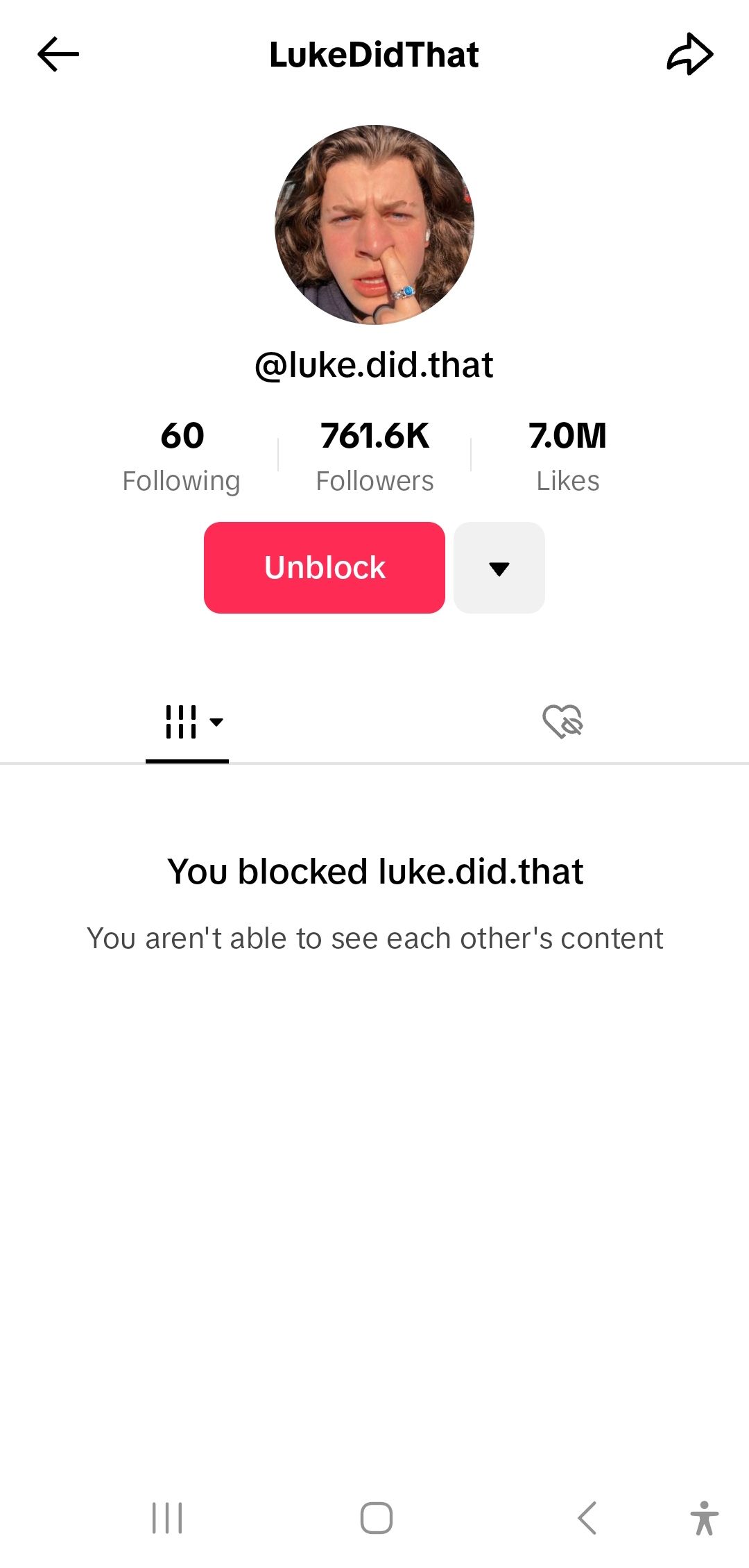 exibição de página de perfil de usuário tiktok bloqueada