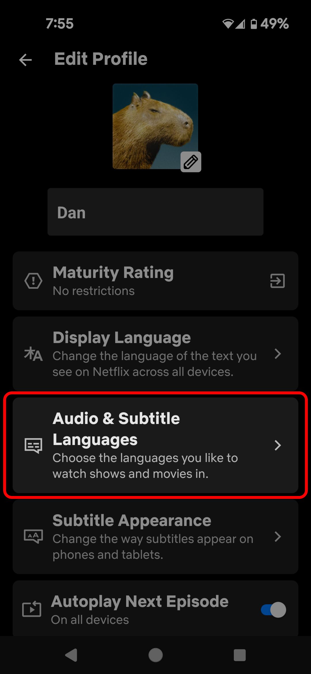 Menu Editar perfil do Netflix mobile destacando a opção Idiomas de áudio e legendas