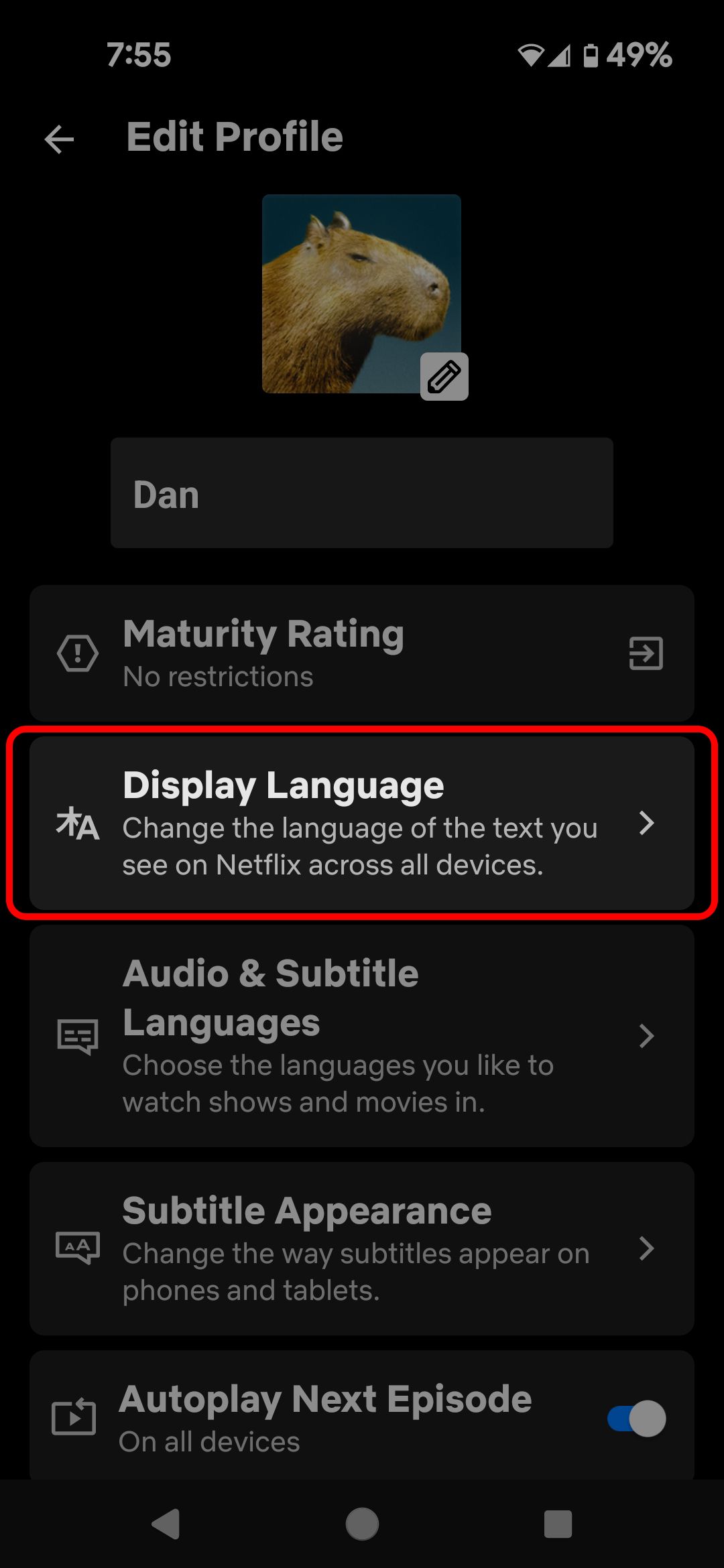 Menu Editar perfil do Netflix mobile destacando a opção Idioma de exibição