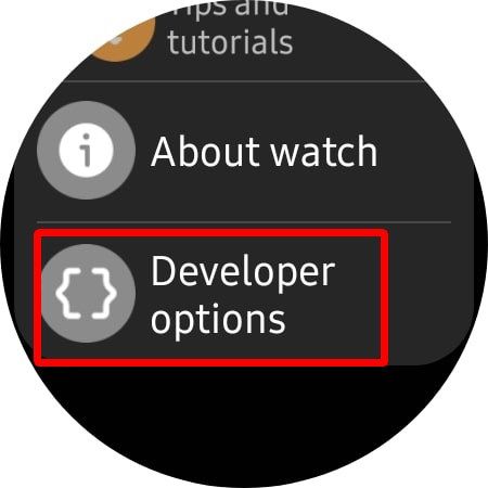 Captura de tela mostrando as opções do desenvolvedor ativadas no Galaxy Watch 4