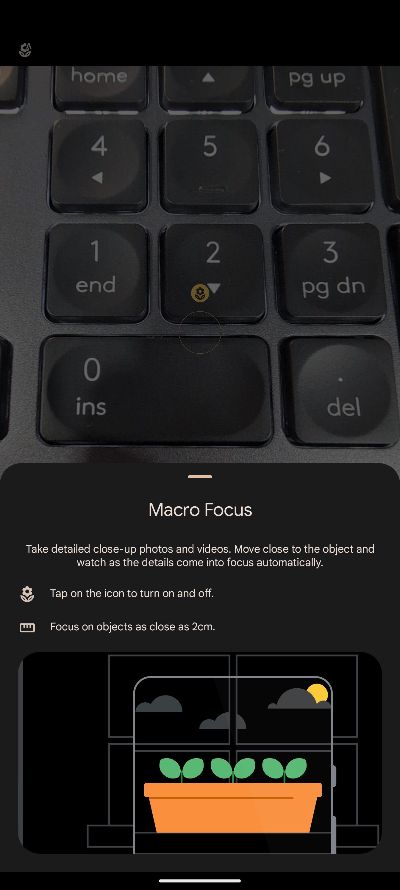 Google Pixel 8: pop-up Macro Focus