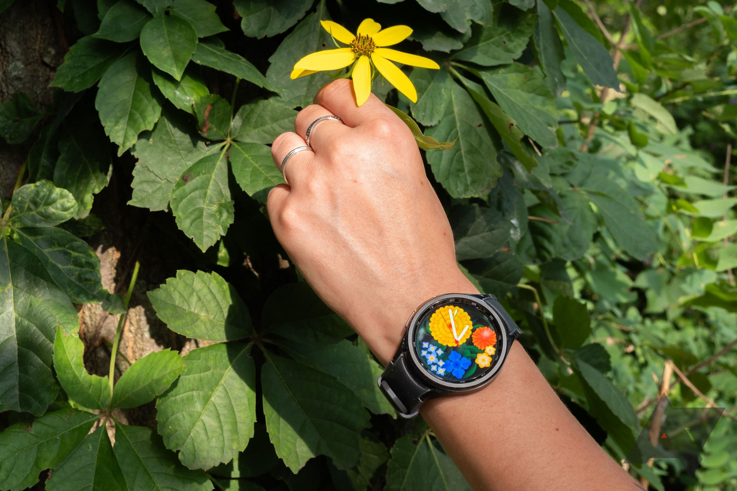 Uma mão usando um smartwatch preto e segurando uma flor amarela na frente da folhagem