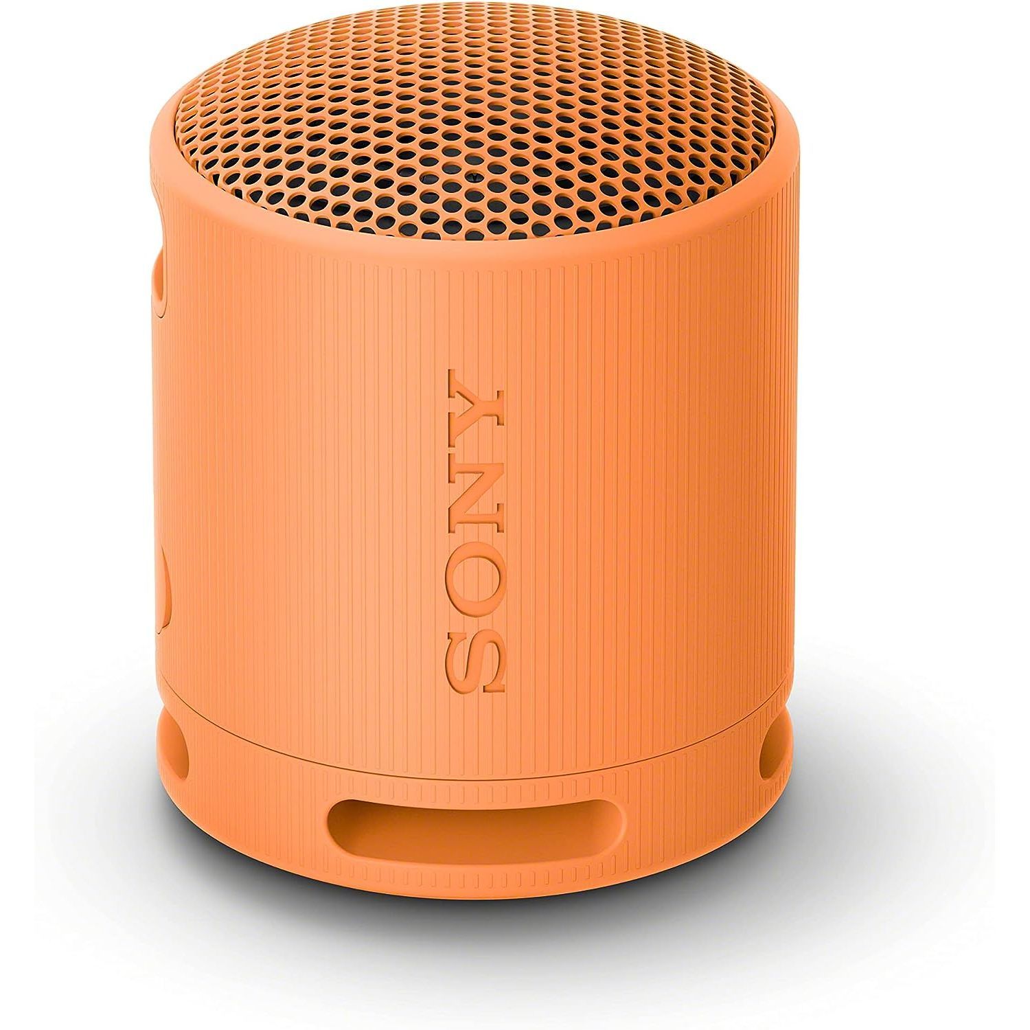 Alto-falante Bluetooth portátil Sony SRS-XB100