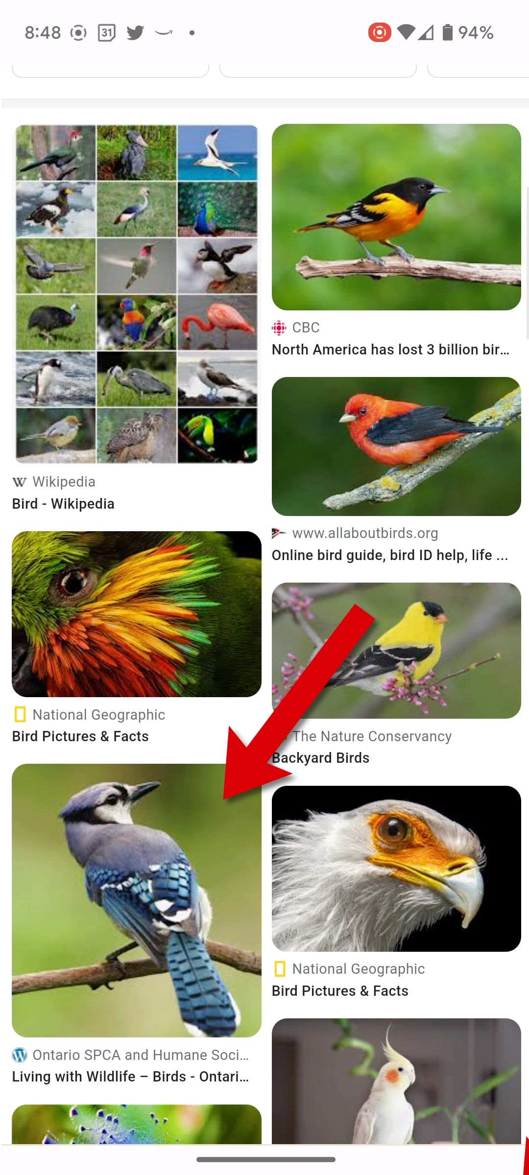Captura de tela da seleção de uma imagem do Imagens do Google no telefone Android