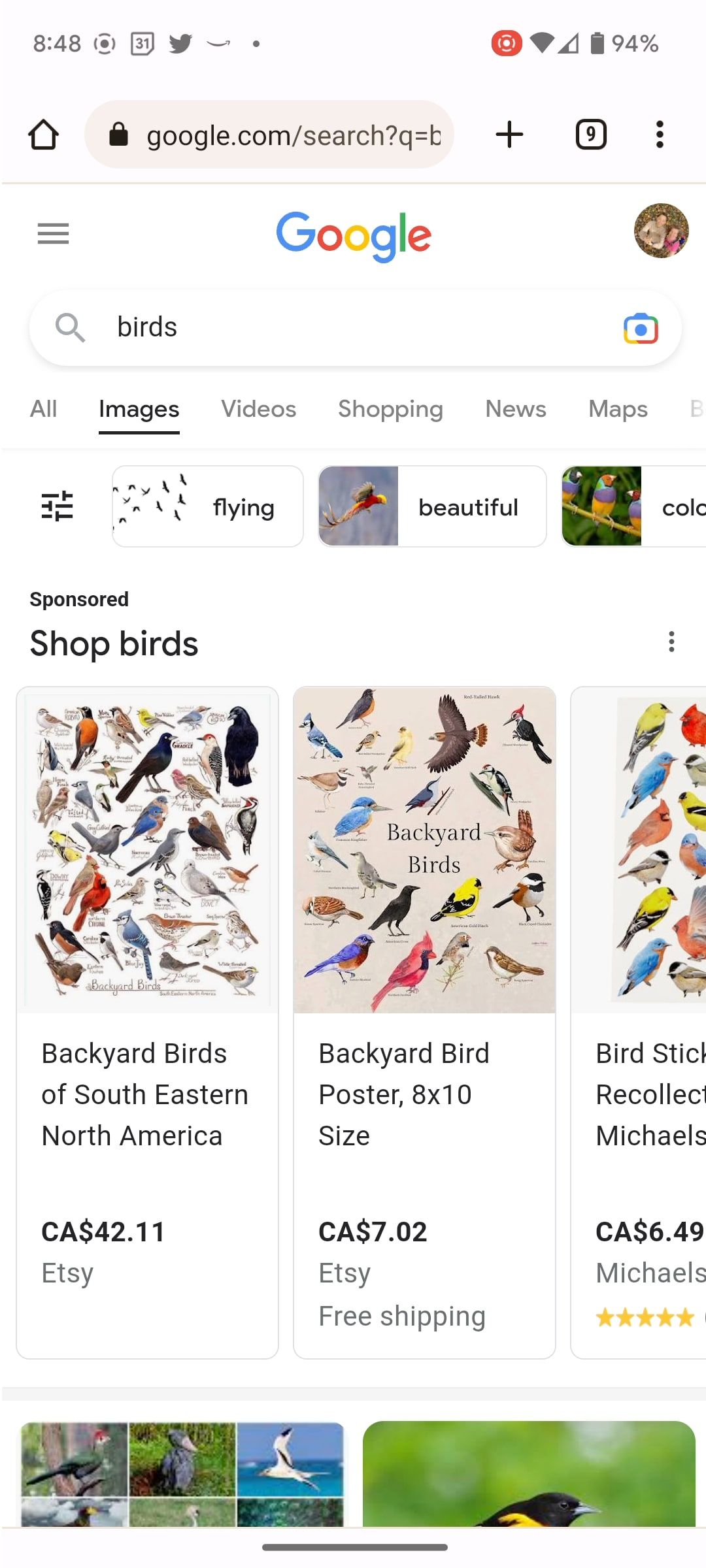 Captura de tela da pesquisa do Imagens do Google em um telefone Android para pássaros