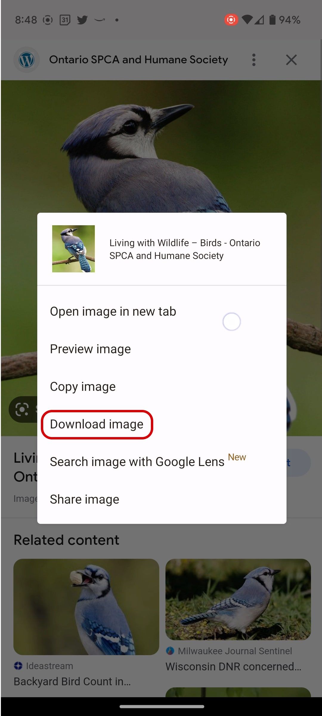 Captura de tela do download de uma imagem do Imagens do Google no Android