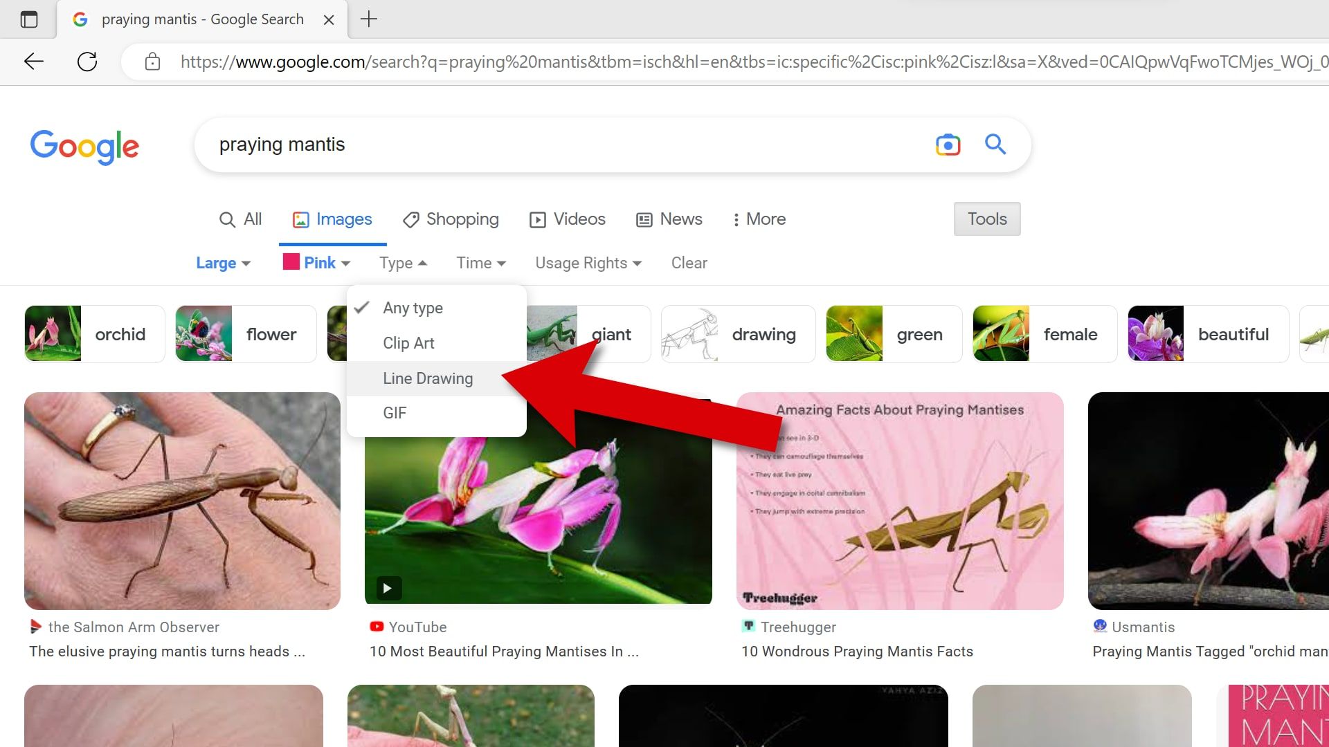 O Imagens do Google tem um filtro útil de tipo de imagem