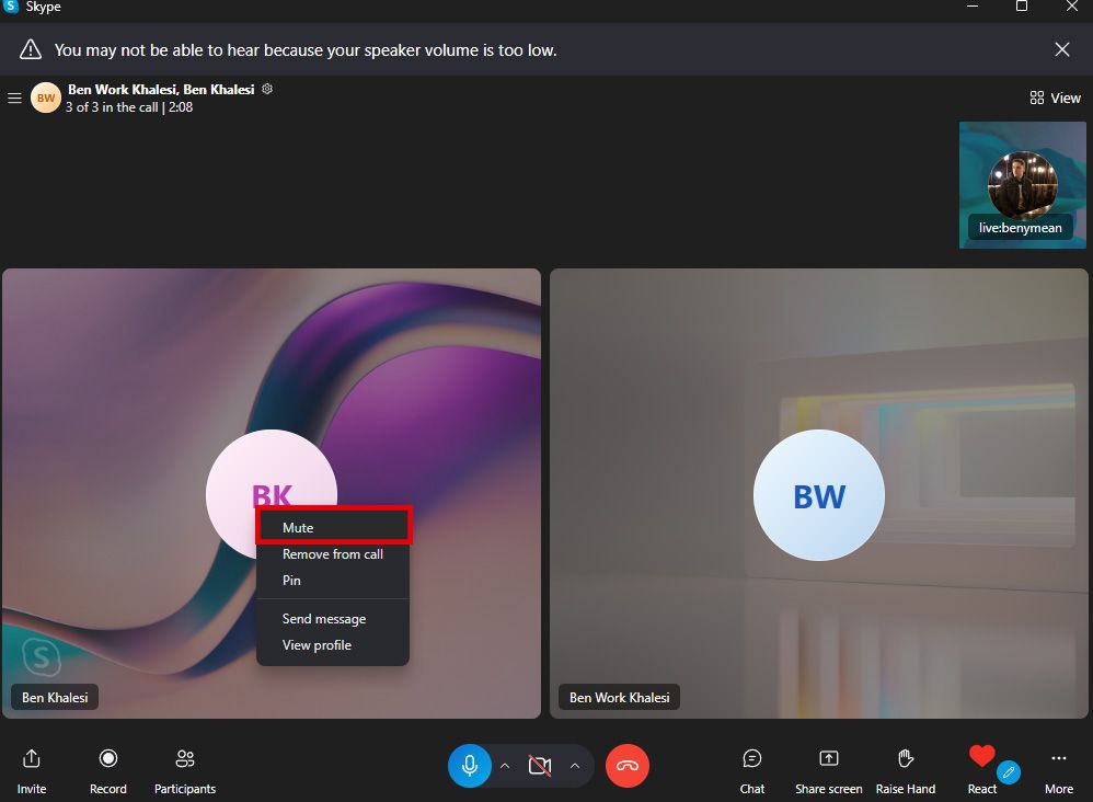 Uma captura de tela mostrando uma interface de chamada do Skype.  O botão 'Mudo' é exibido em destaque e destacado em vermelho para indicar a seleção.