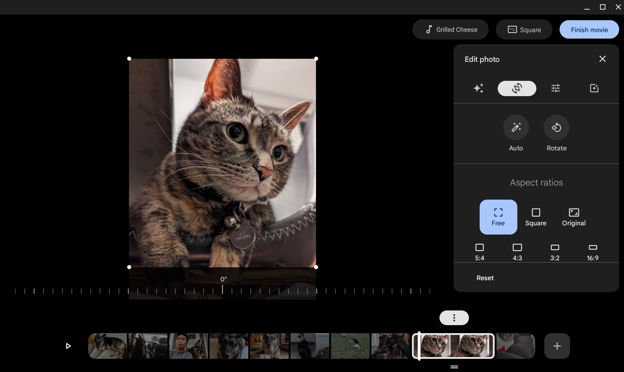 Editando o vídeo de um gato no Google Fotos em um Chromebook