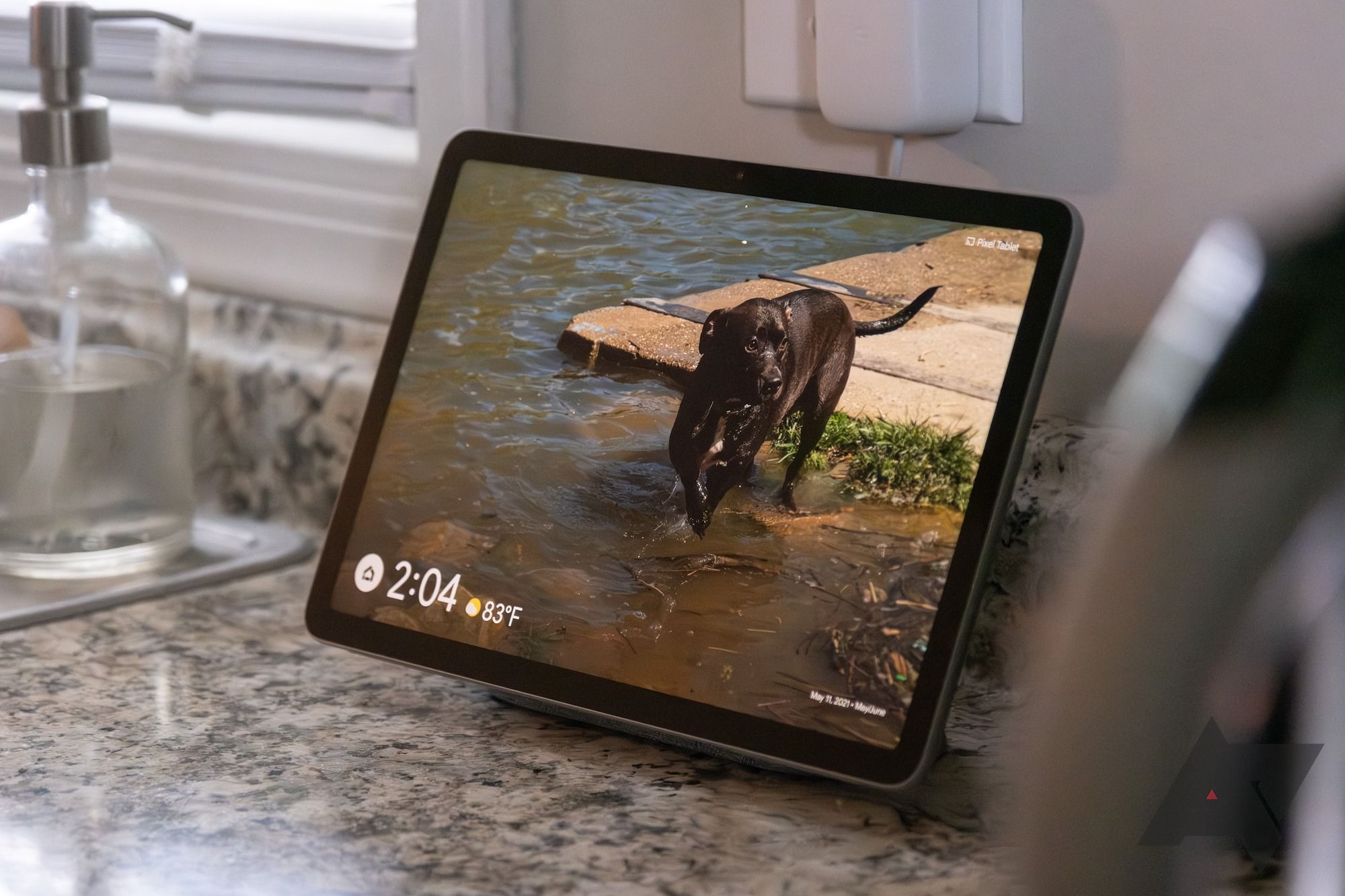 Um tablet Google Pixel exibindo a foto de um cachorro