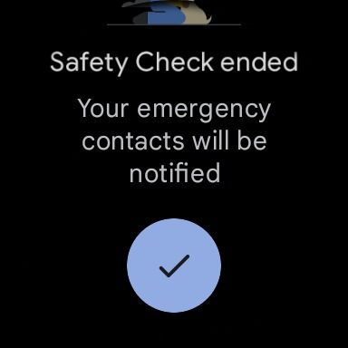 tela de confirmação do pixel watch do final da verificação de segurança