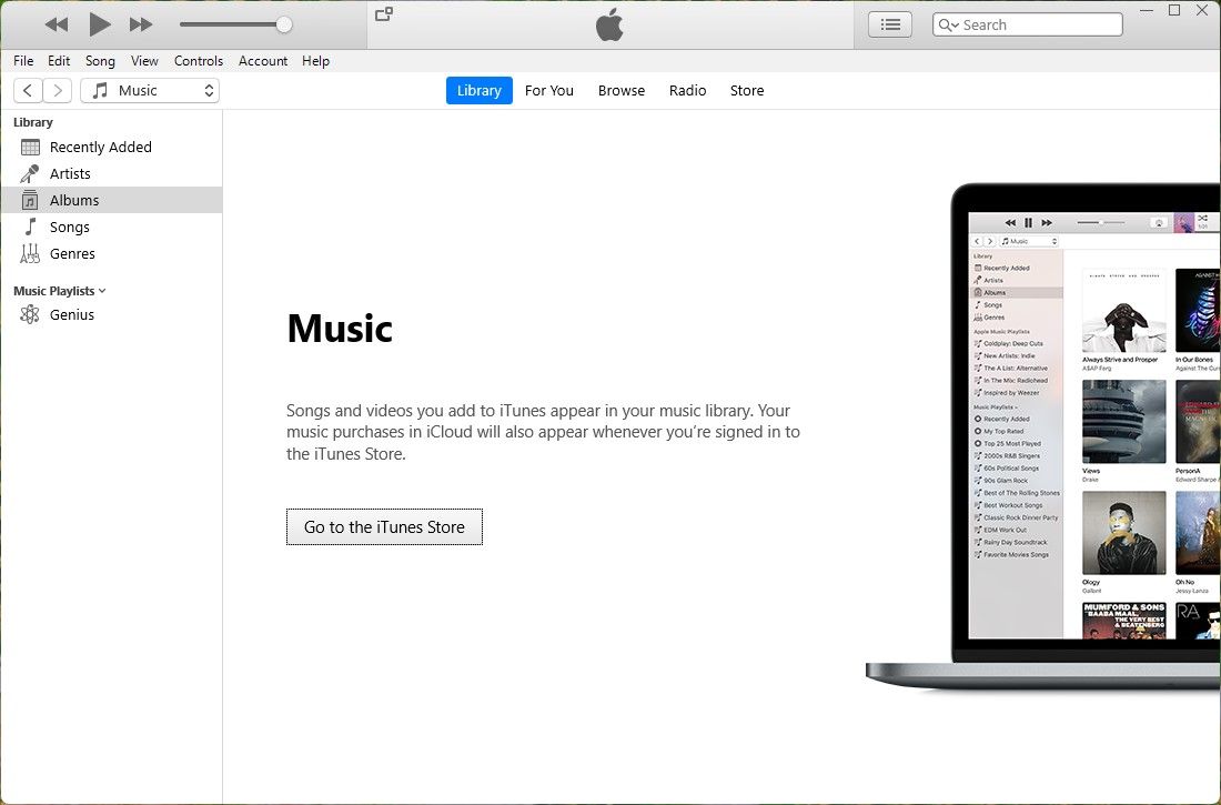 página da biblioteca do iTunes no Windows