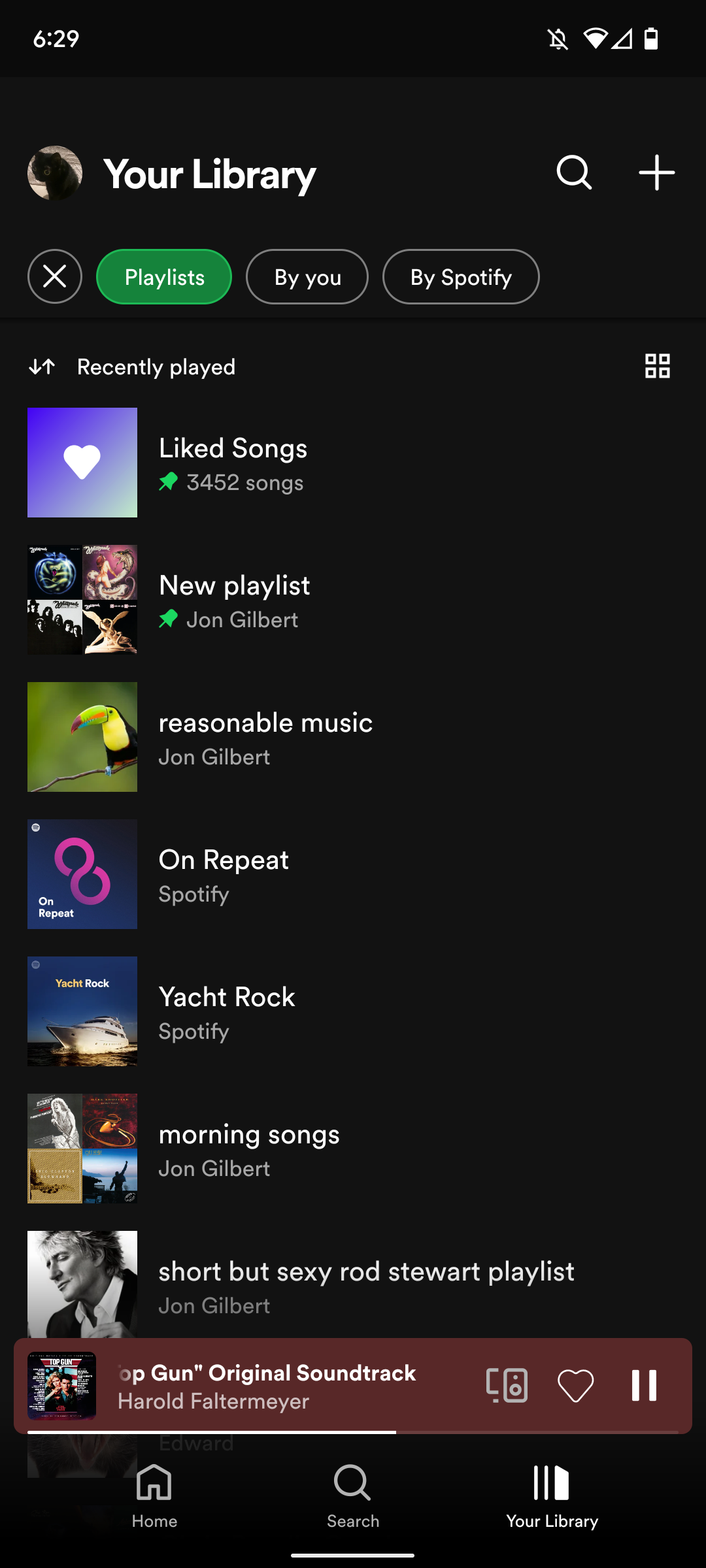 Captura de tela das playlists do Spotify