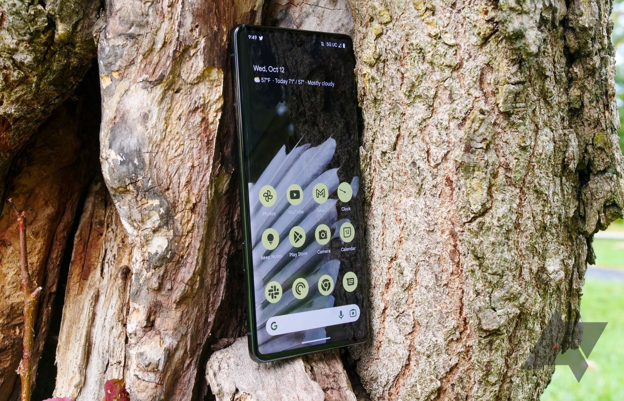 Um Google Pixel 7 Pro em uma árvore