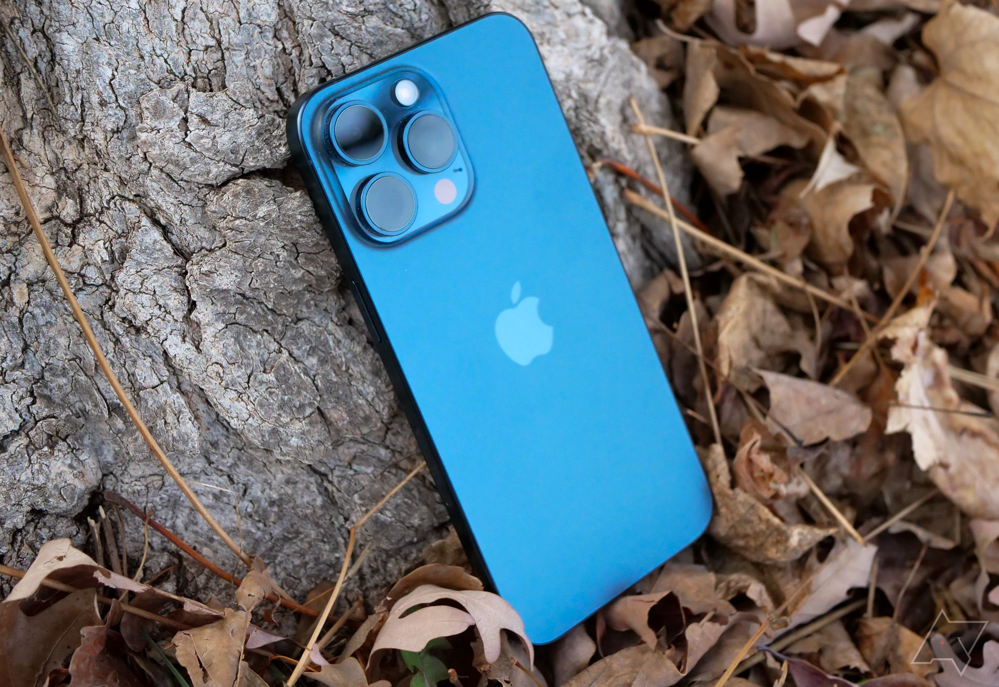 O iPhone 15 Pro Max encostado em uma árvore com folhas espalhadas