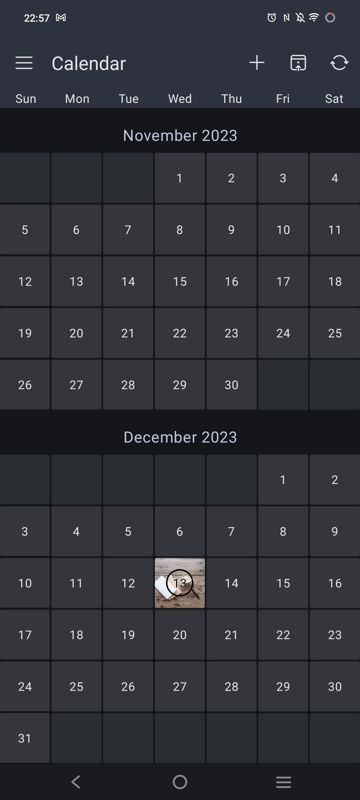 Captura de tela mostrando o calendário do diário Diarium