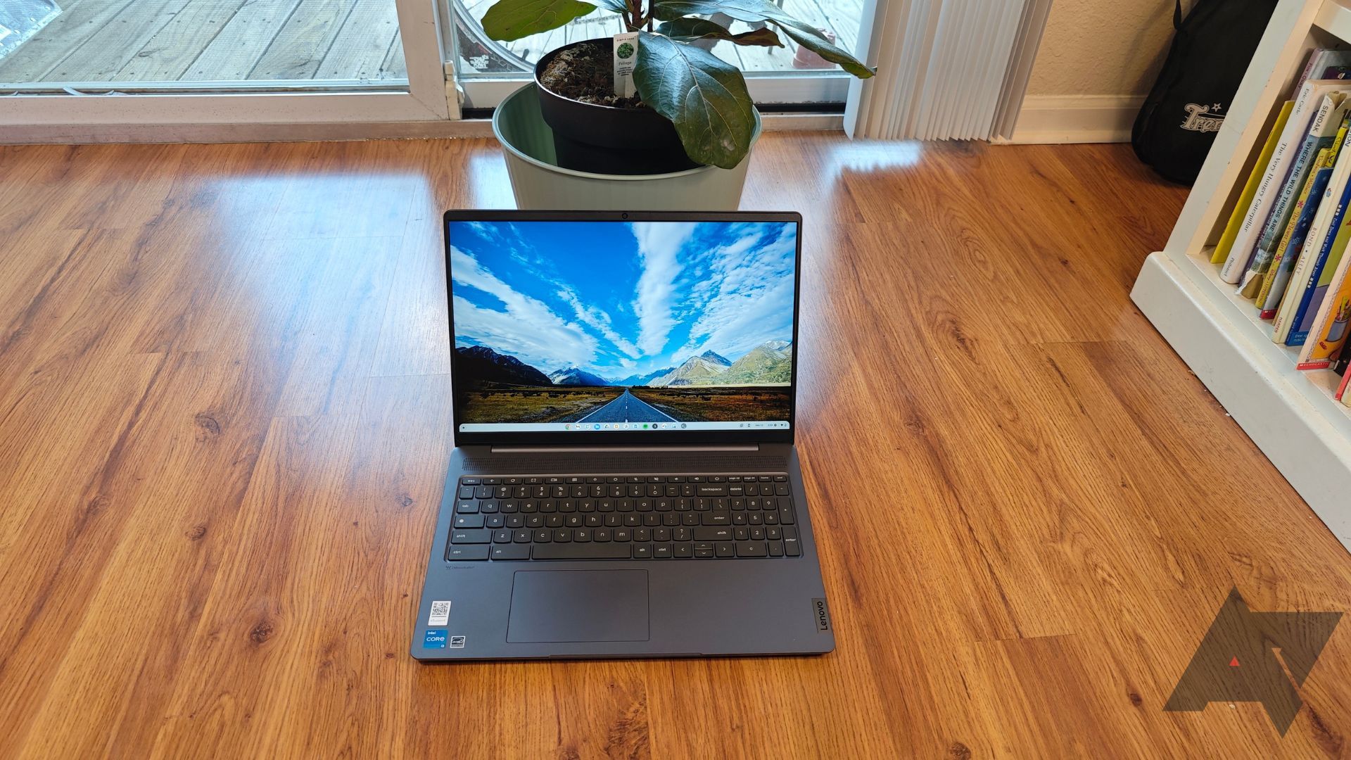 Um Chromebook Lenovo IdeaPad 5i sobre um piso de madeira em frente a uma planta