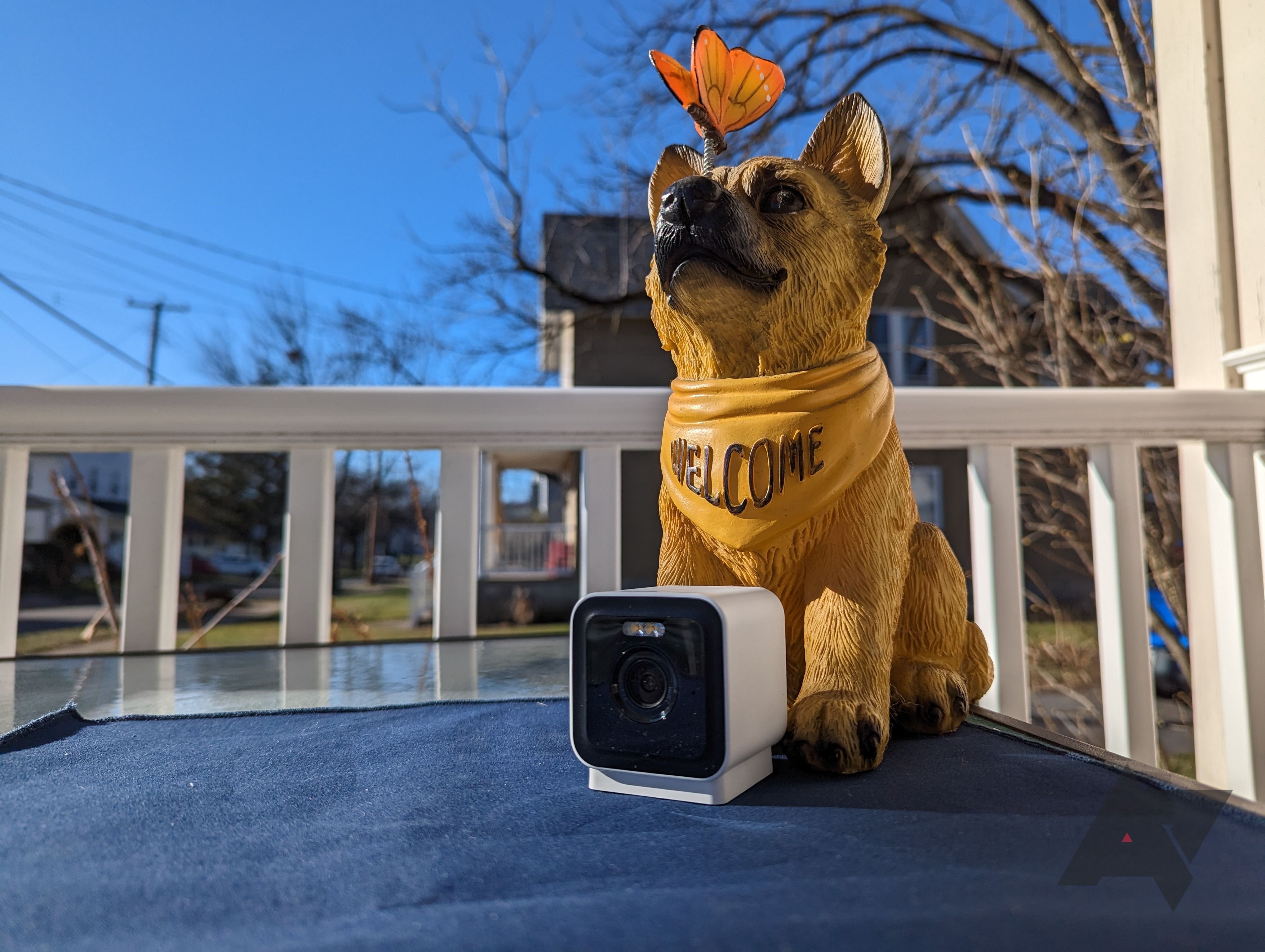 câmera de segurança colocada em tapete azul com estátua de cachorro ao ar livre