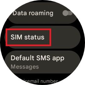 Configurações do Pixel Watch 2 com a opção de status do SIM destacada com uma caixa vermelha