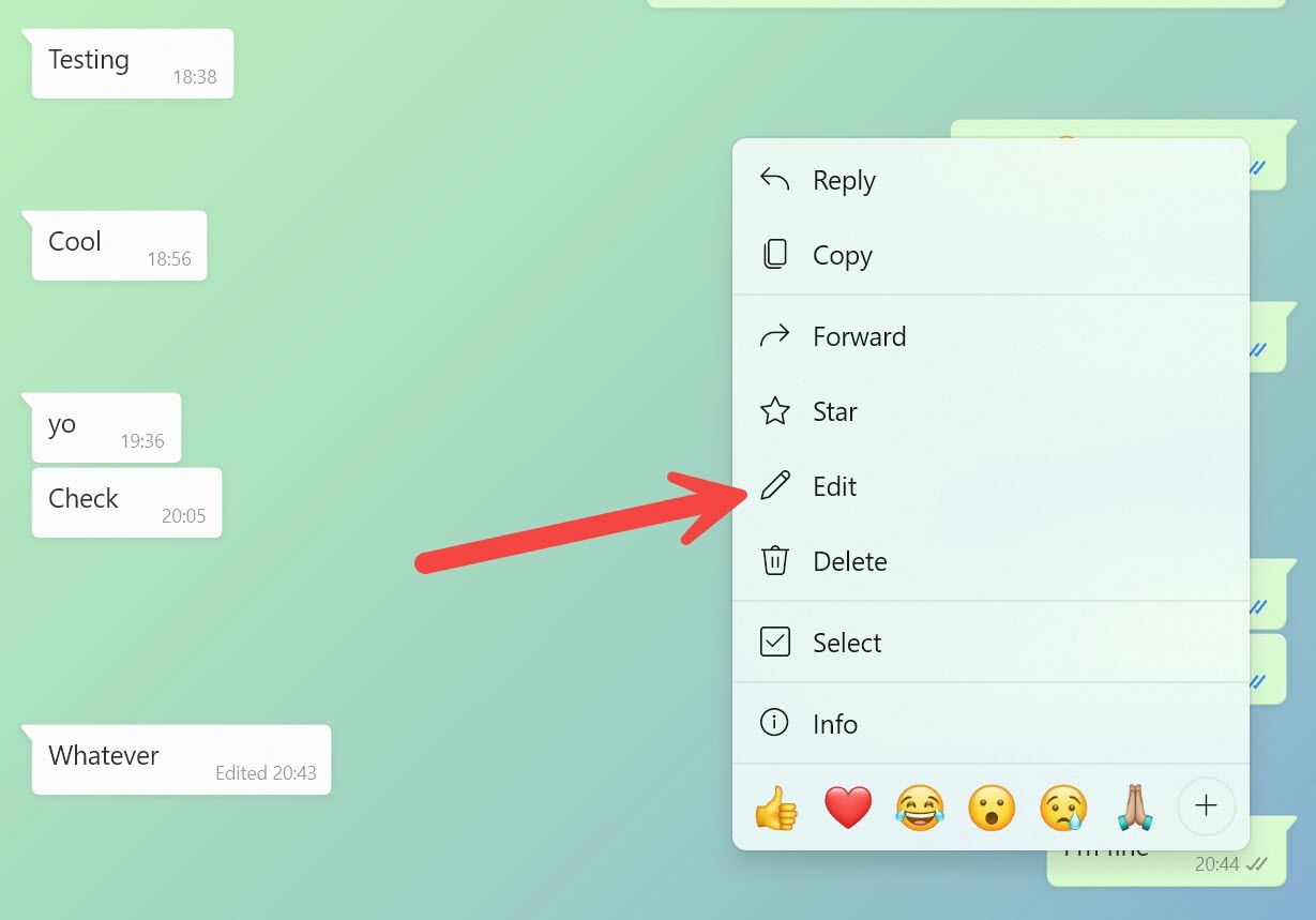 editar uma mensagem no WhatsApp desktop