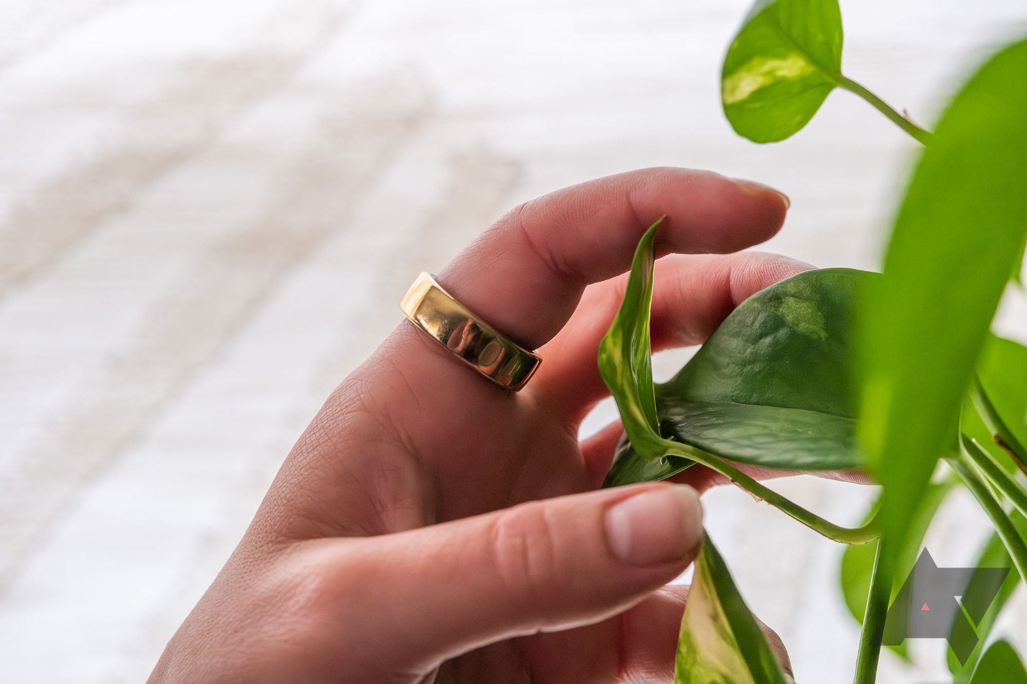 Uma mão usando um anel inteligente tocando uma planta