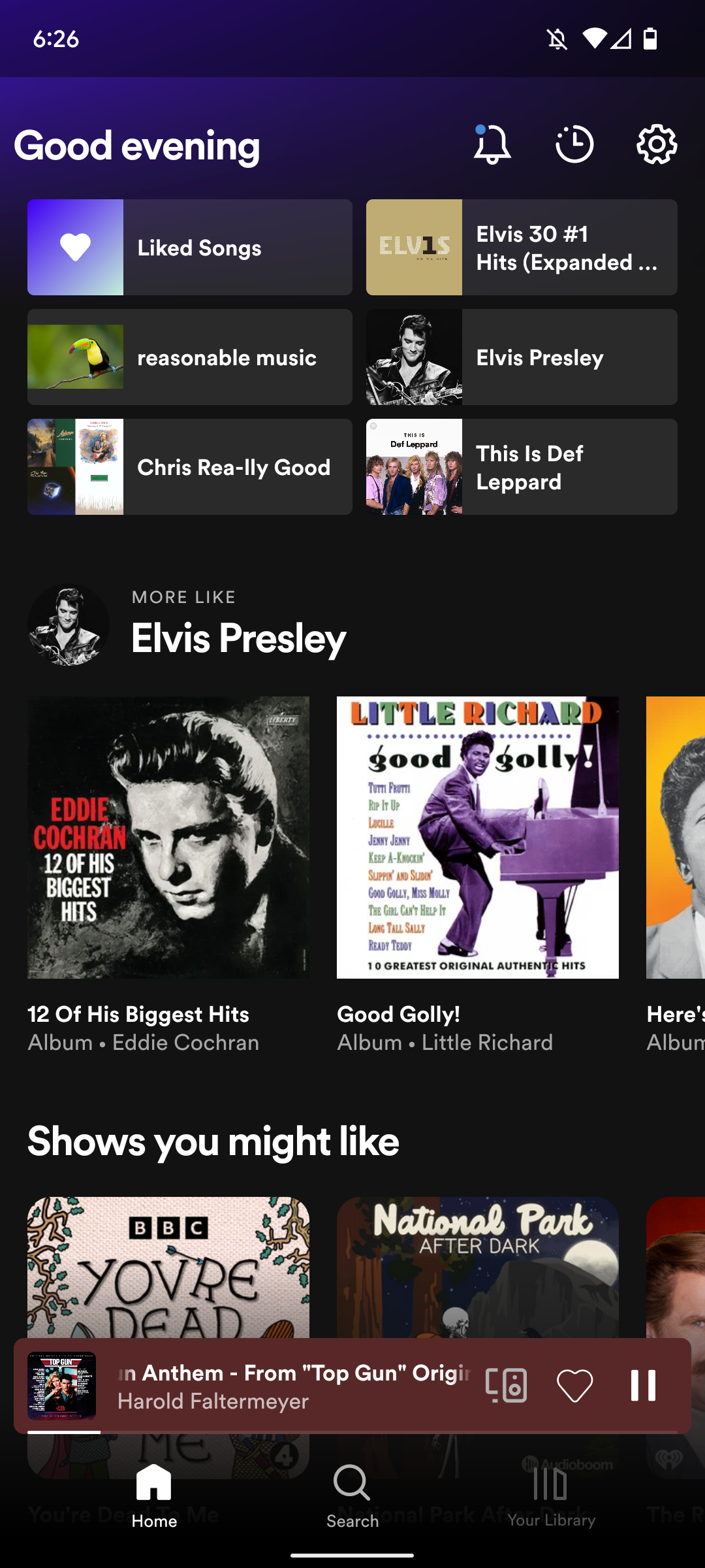 Captura de tela da tela inicial do Spotify