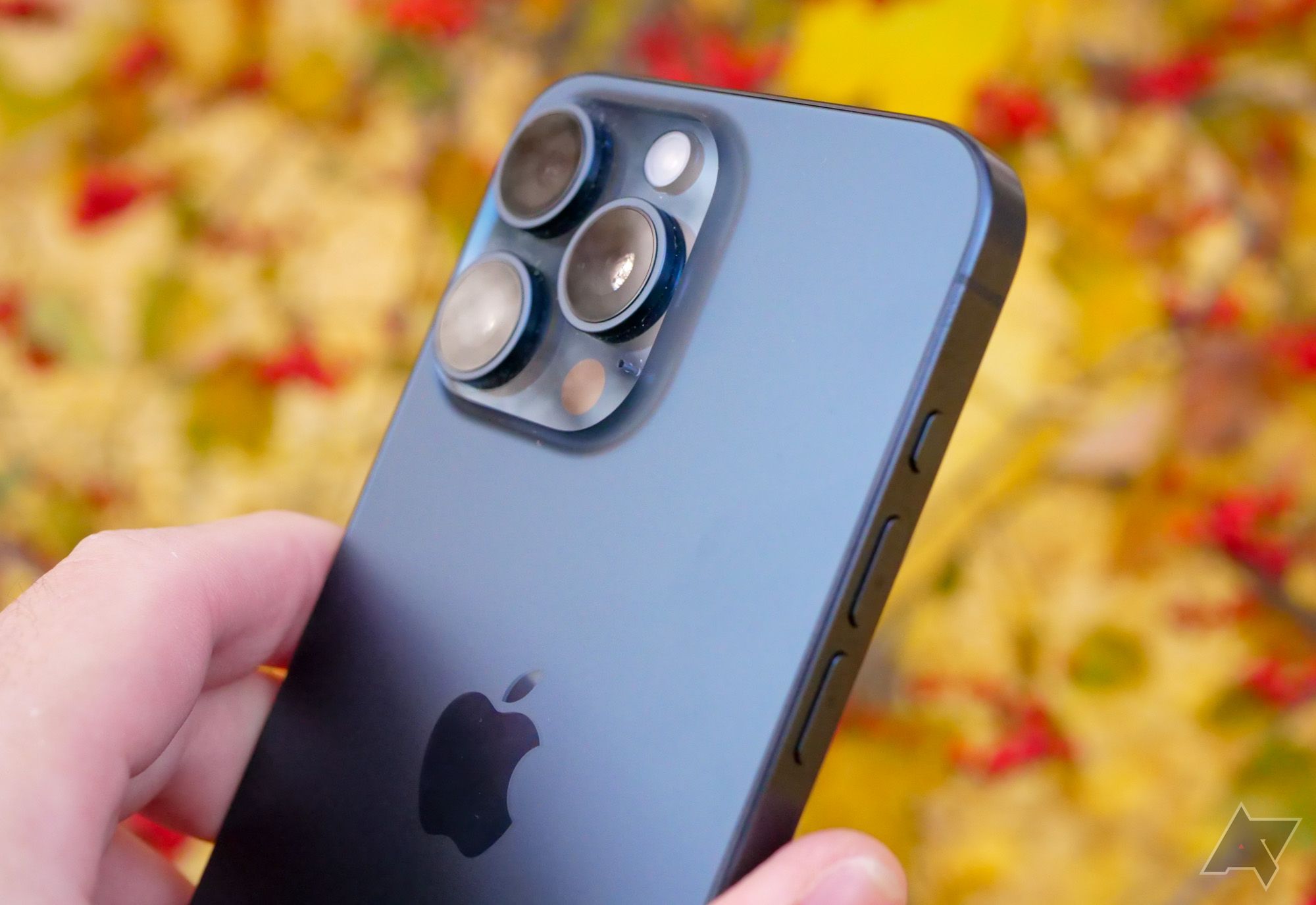 O iPhone 15 Pro Max em um cenário de folhas