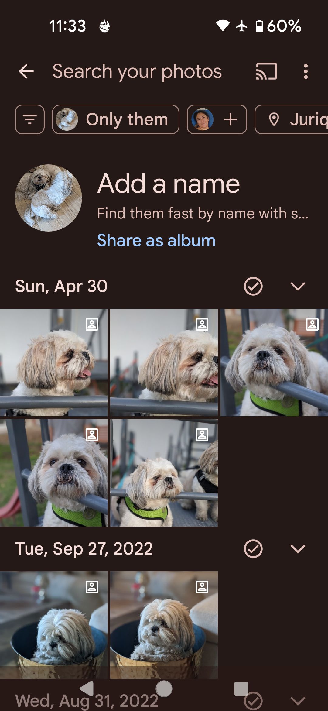Adicionando um nome para um animal de estimação no aplicativo Google Fotos