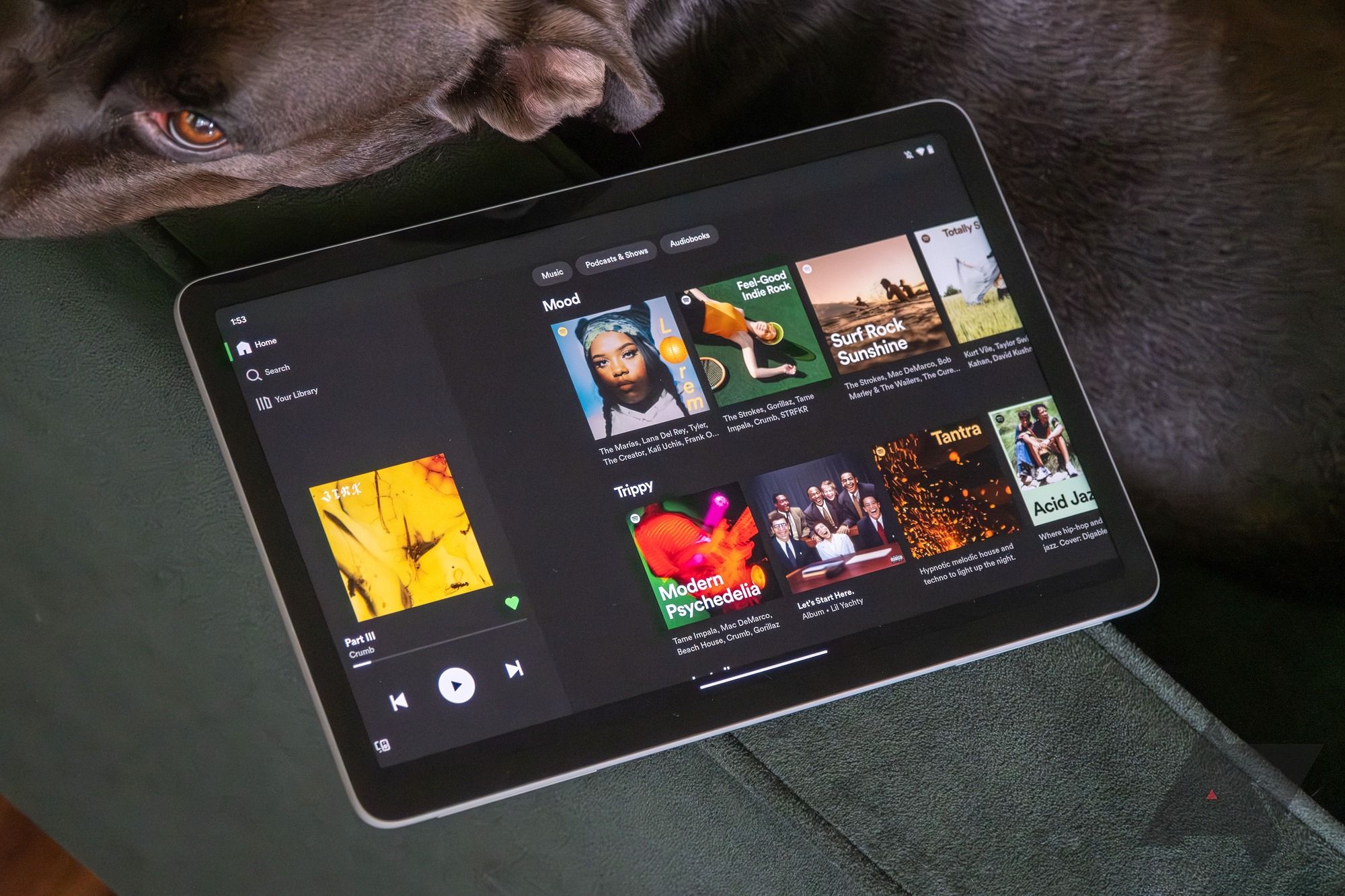 Um tablet Google Pixel exibindo o aplicativo Spotify.