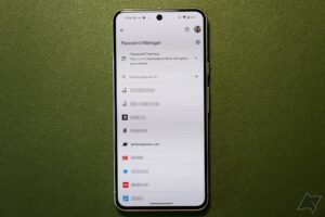 O Gerenciador de senhas do Google ficou mais fácil de acessar em seu telefone Pixel