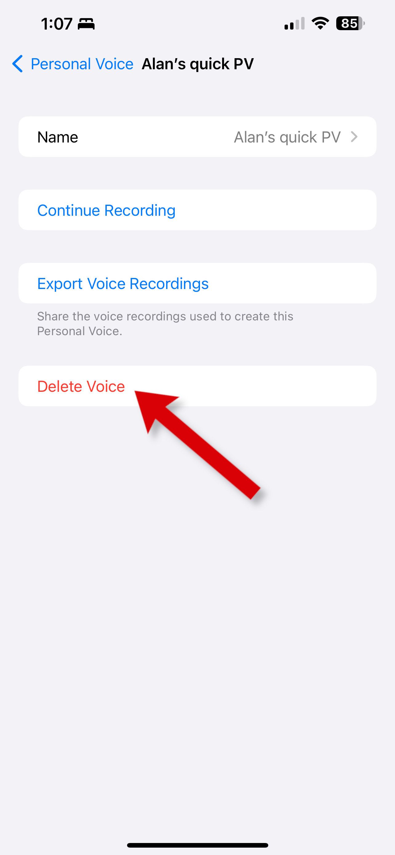 Uma captura de tela mostrando como excluir uma voz pessoal