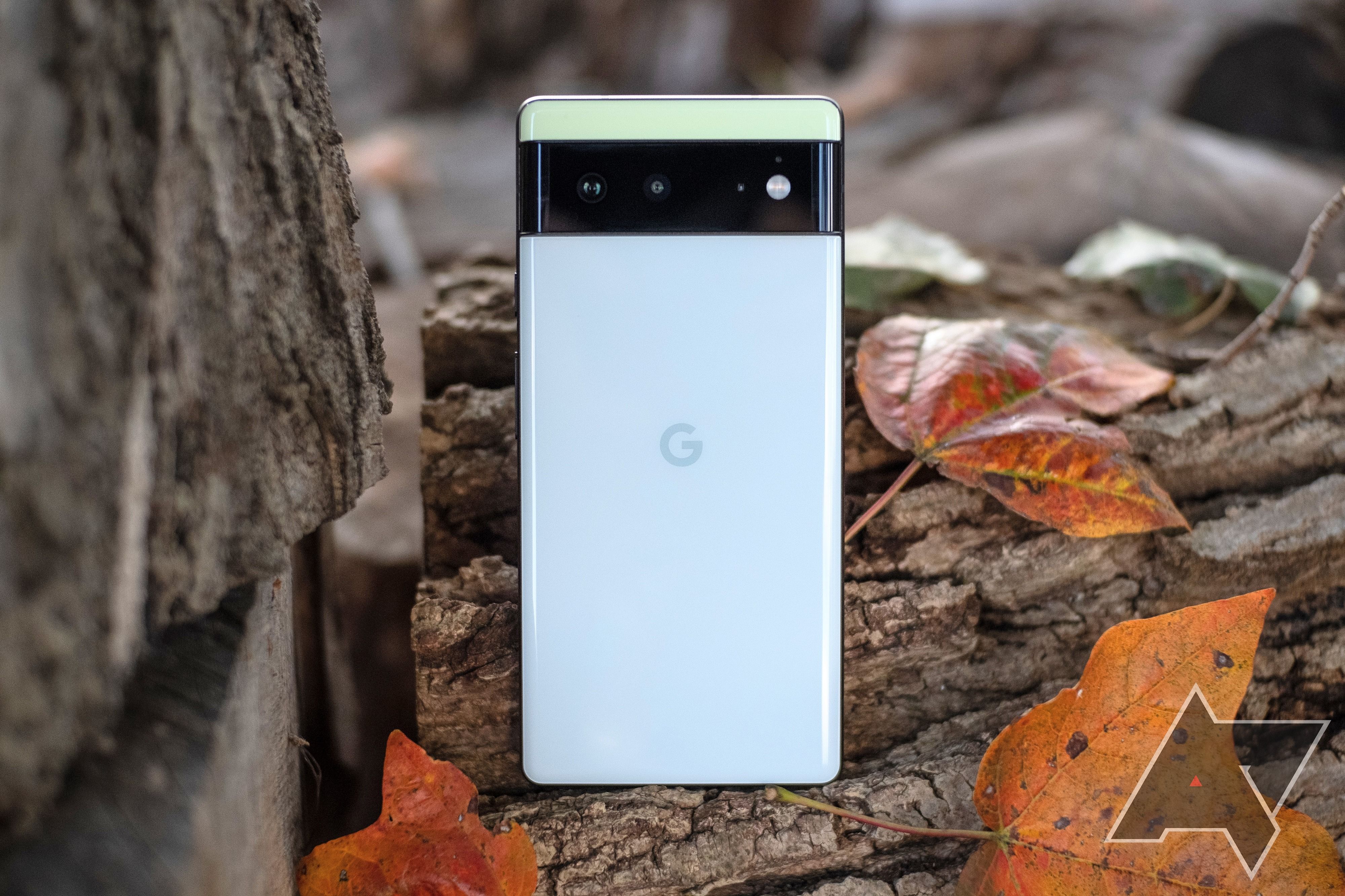 pixel 6 folhas caídas traseiras