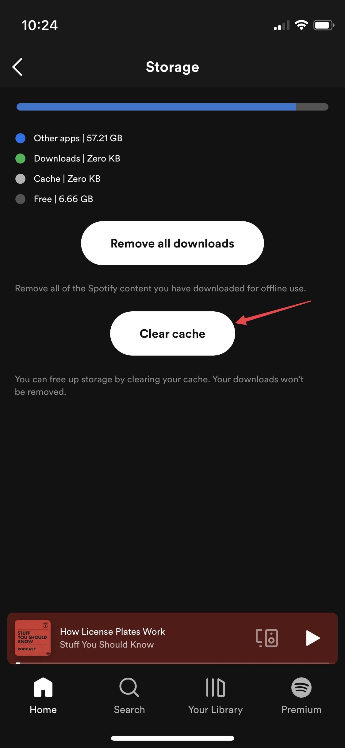 limpar cache e dados do Spotify no iPhone