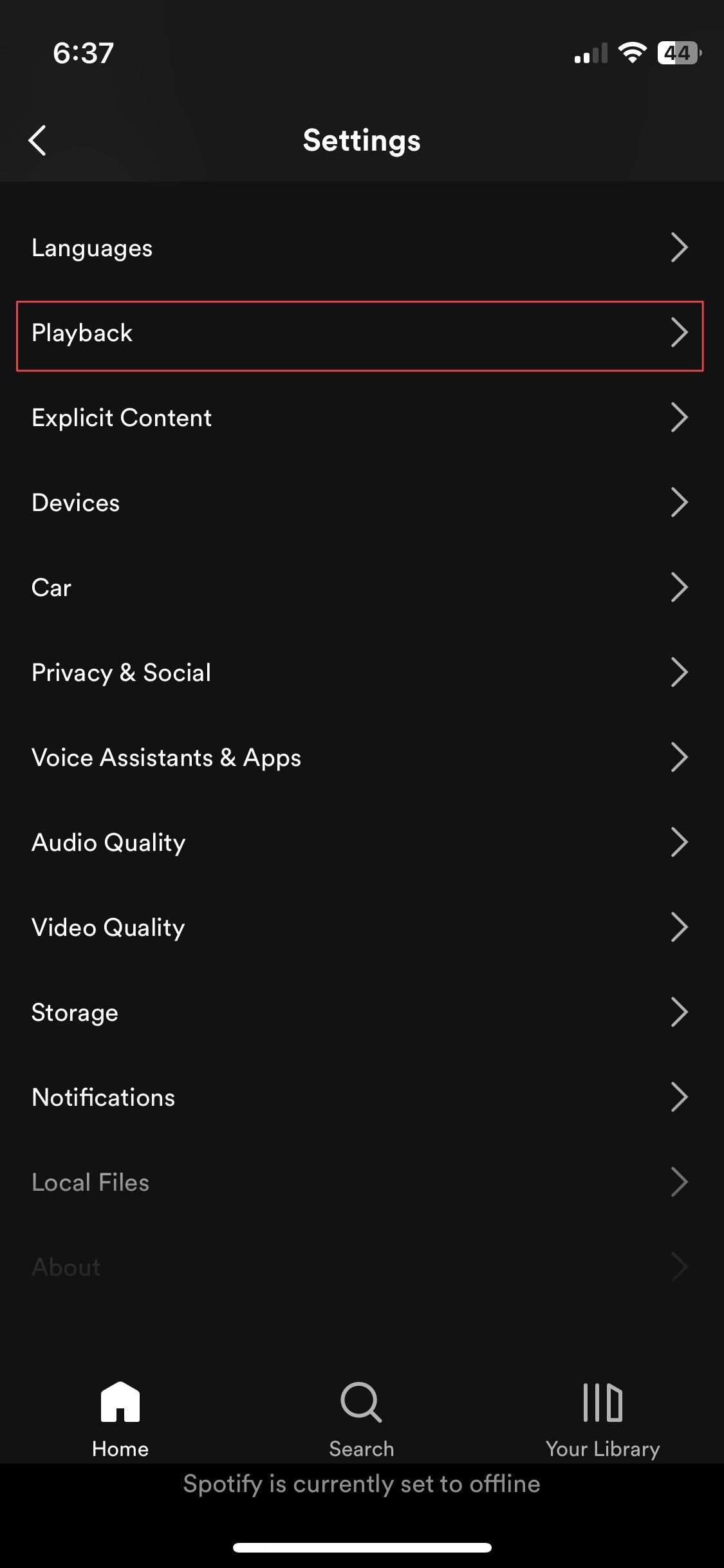 página de configurações do Spotify para aplicativo para iPhone mostrando a reprodução