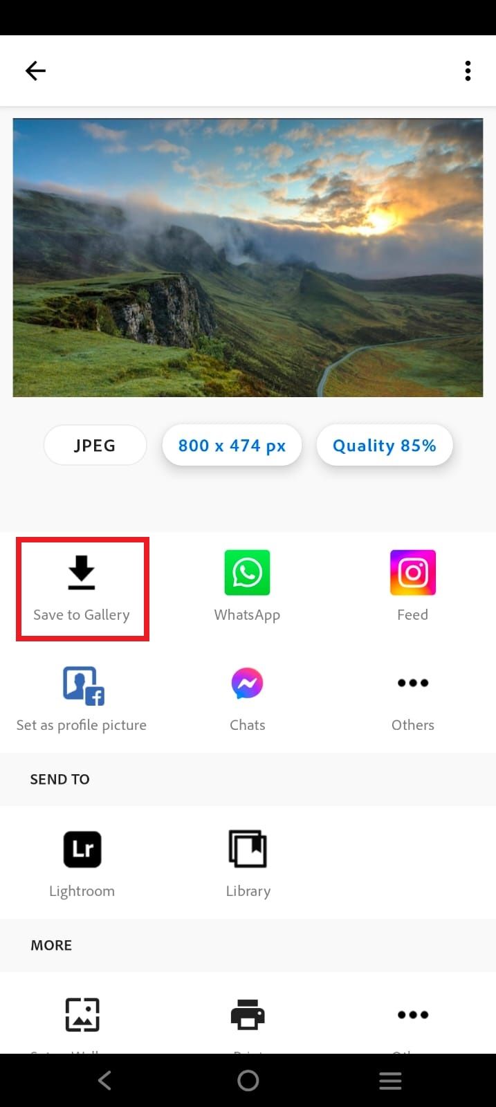 Captura de tela destacando a opção “Salvar na Galeria” no aplicativo Adobe Photoshop Express