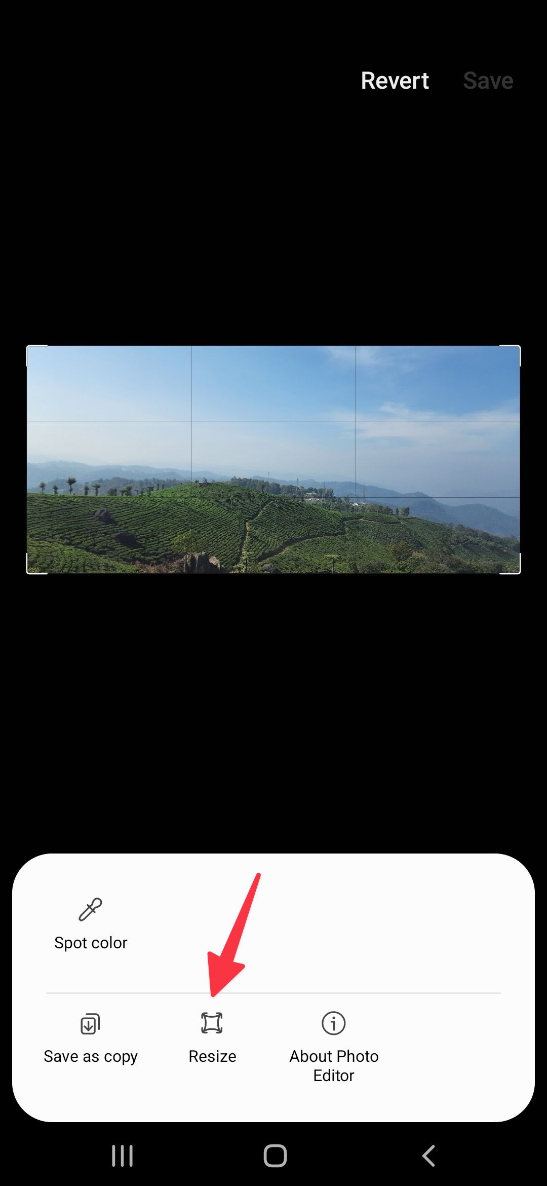 Captura de tela destacando a opção Redimensionar em um telefone Samsung