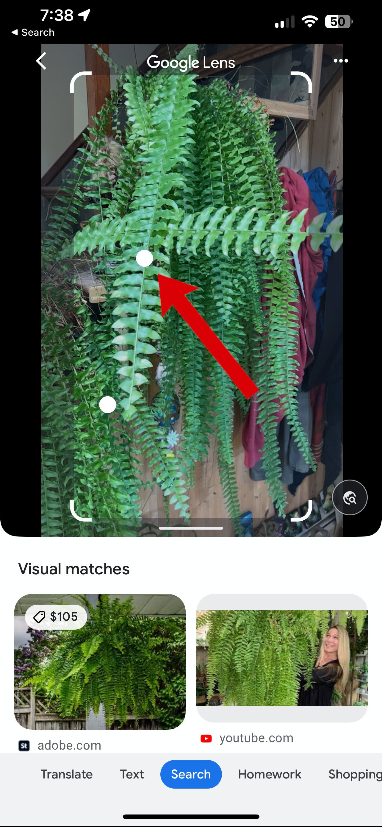 Uma captura de tela do Google Lens para iOS com uma seta apontando para um destaque.