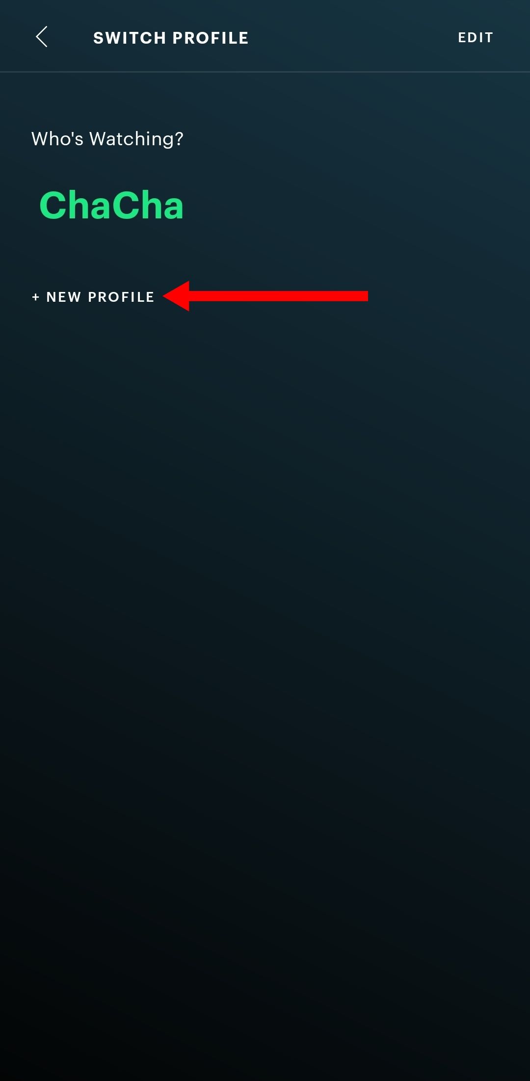 Captura de tela da opção adicionar novo perfil no aplicativo Hulu