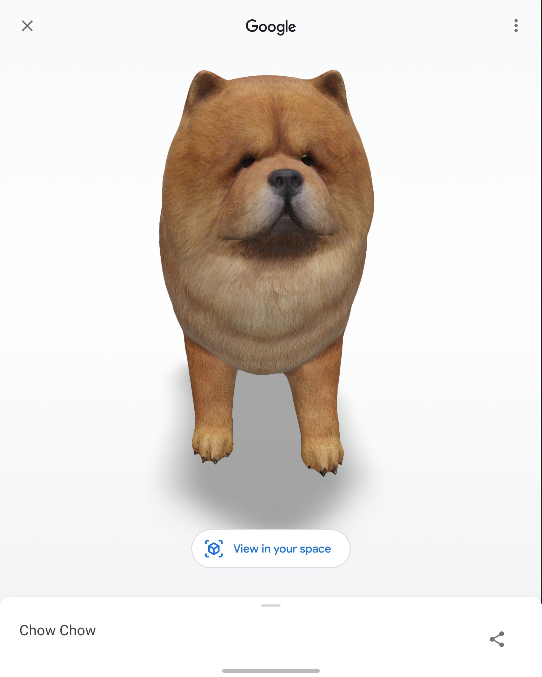 Captura de tela de um cachorro AR gerado pelo Google