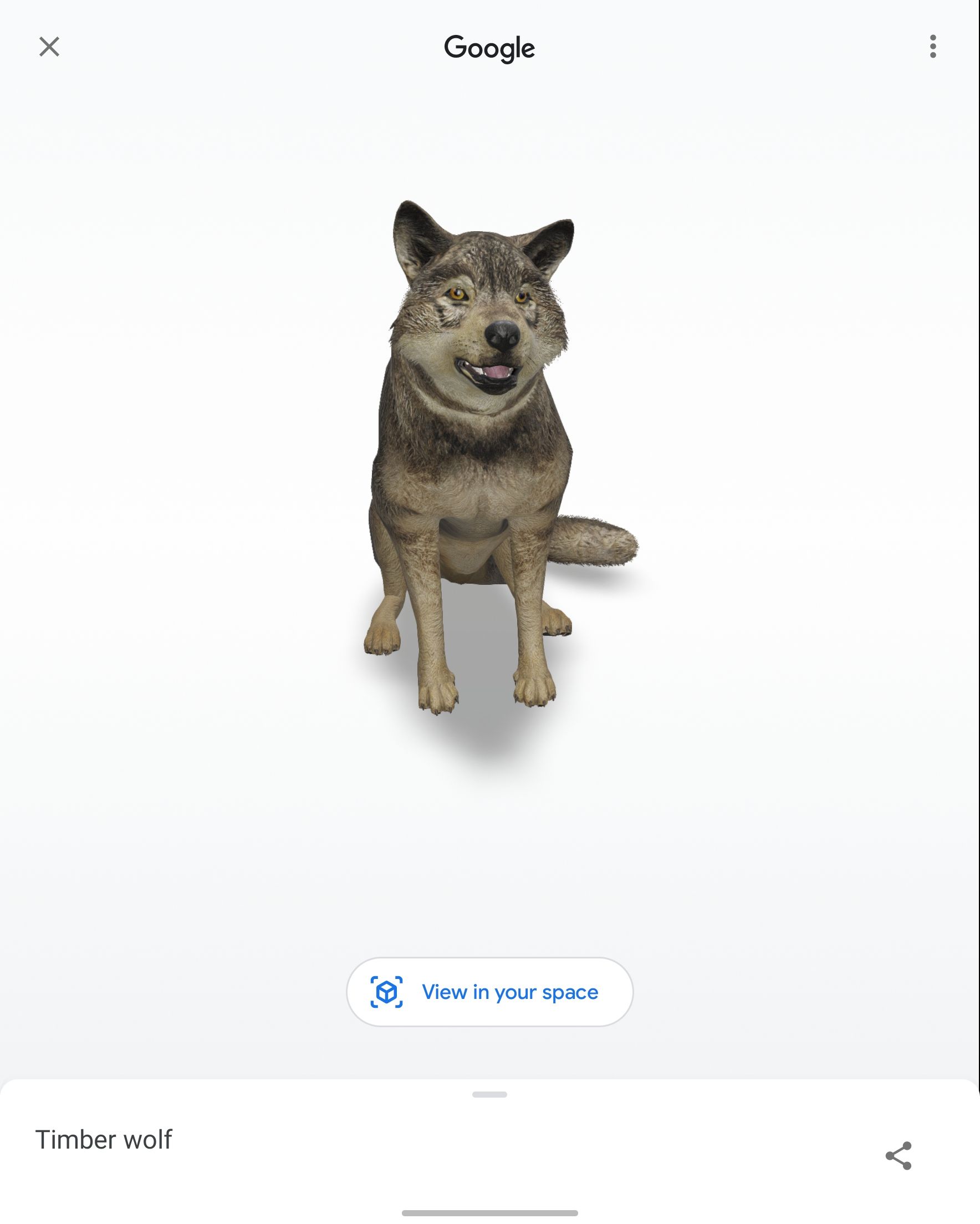 Captura de tela de um lobo AR gerado pelo Google