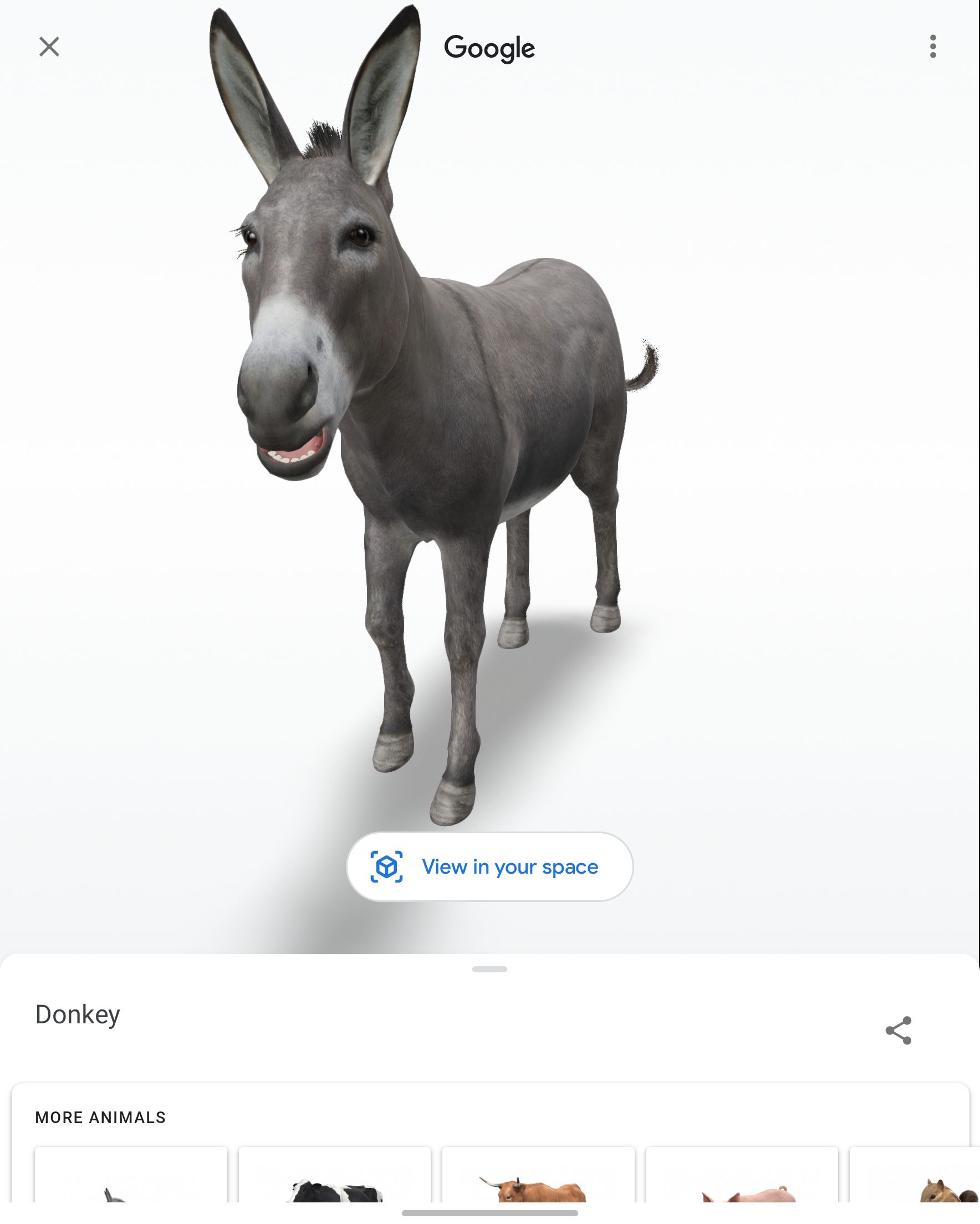 Captura de tela de um burro 3D gerado pelo Google