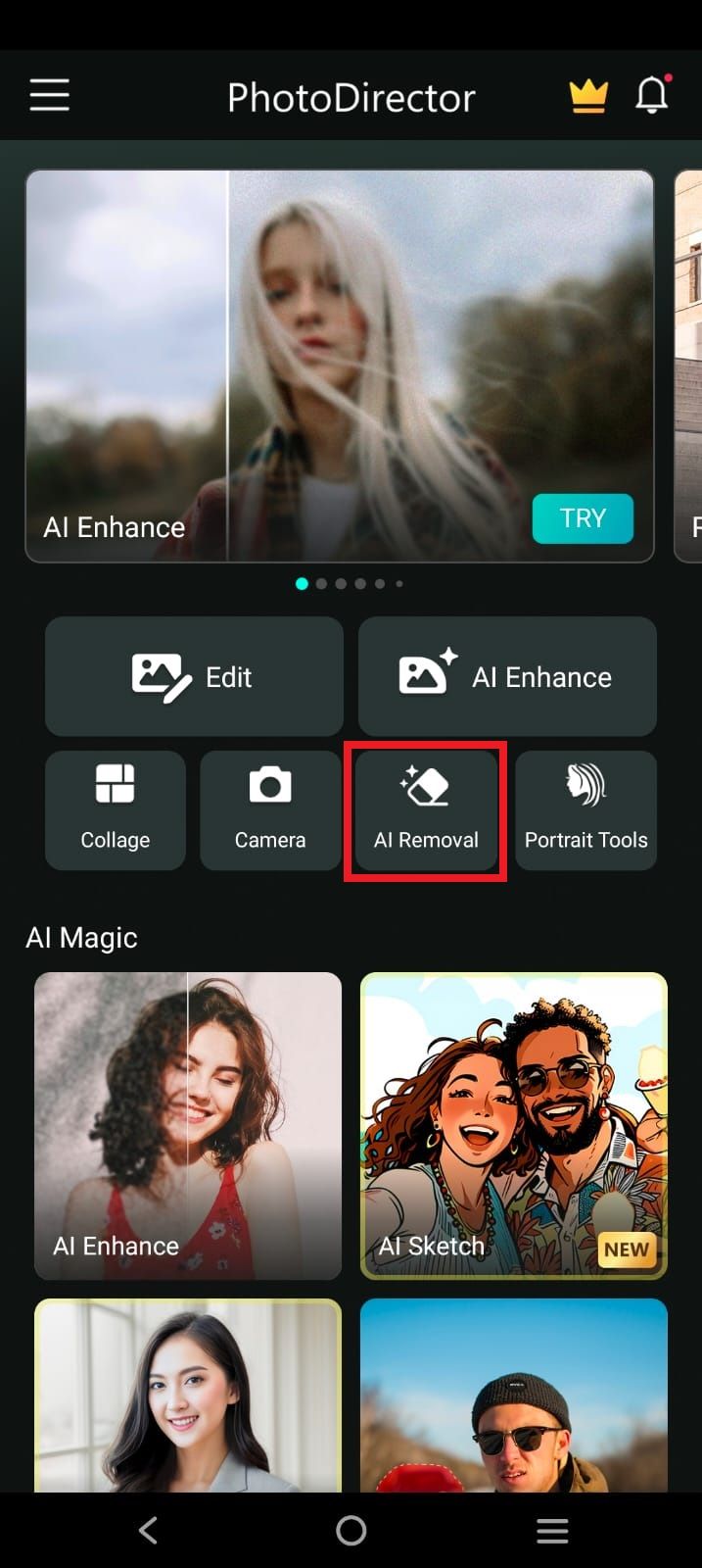 Captura de tela destacando a opção ‘Remoção de IA’ no aplicativo Photo DIREctor