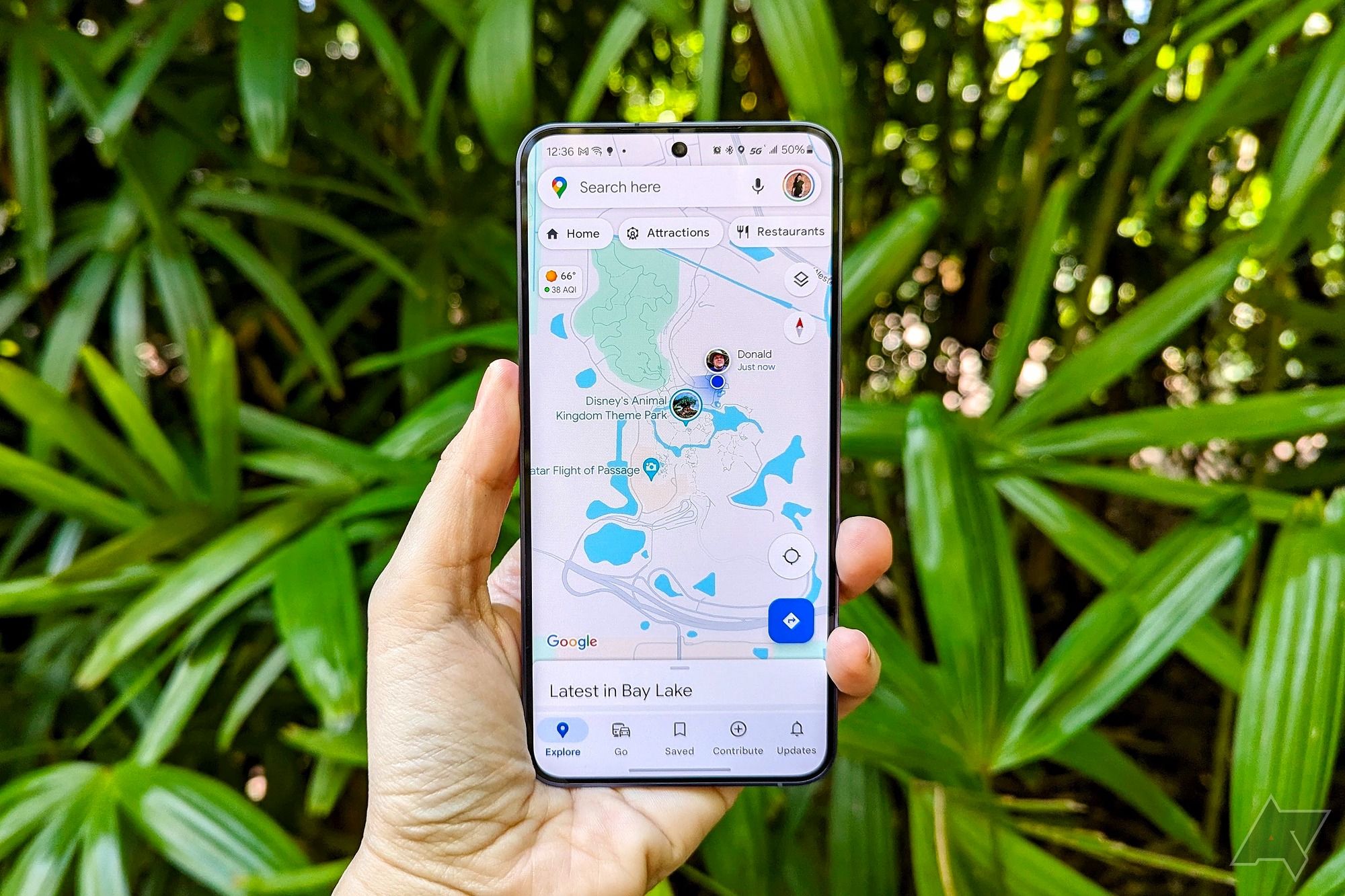 Google Maps no Samsung Galaxy S24 na selva do Animal Kingdom da Disney