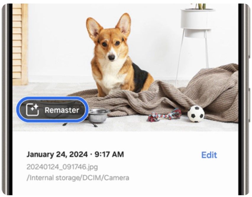 Edite sugestões no aplicativo Samsung Gallery de uma foto de um cachorro