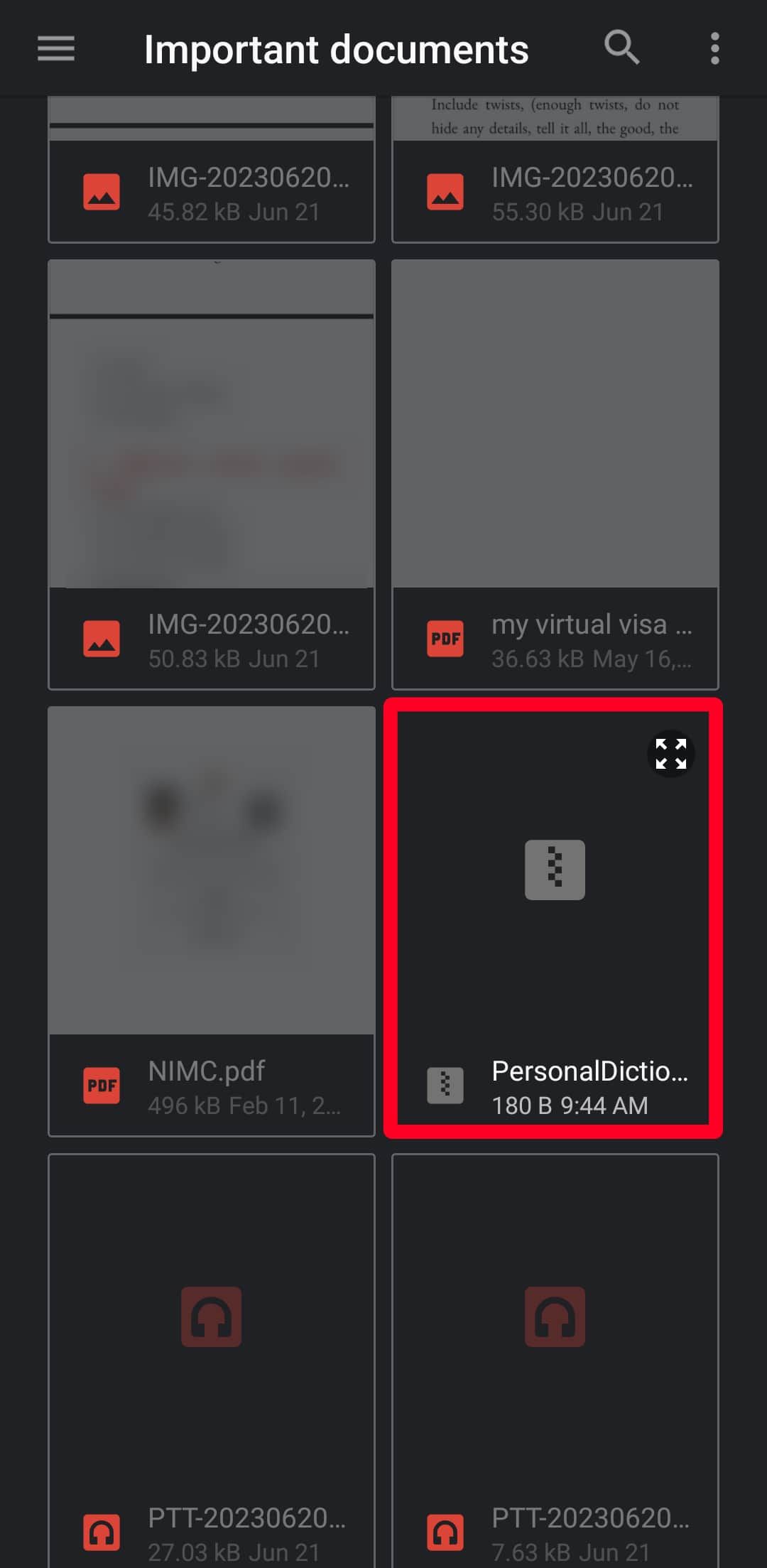 Captura de tela mostrando o arquivo ZIP do dicionário pessoal na pasta Google Drive